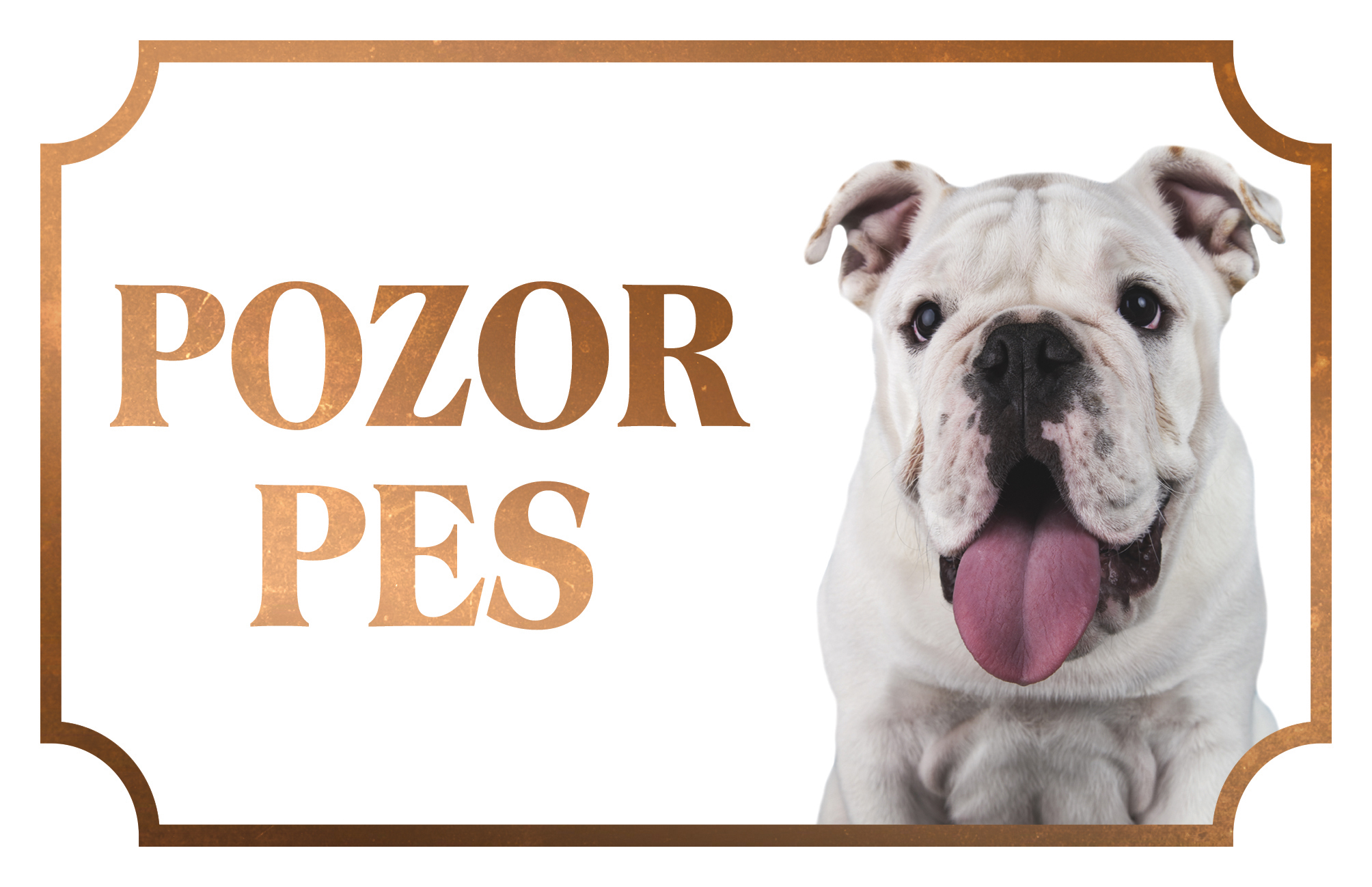 [object Object]fotka1