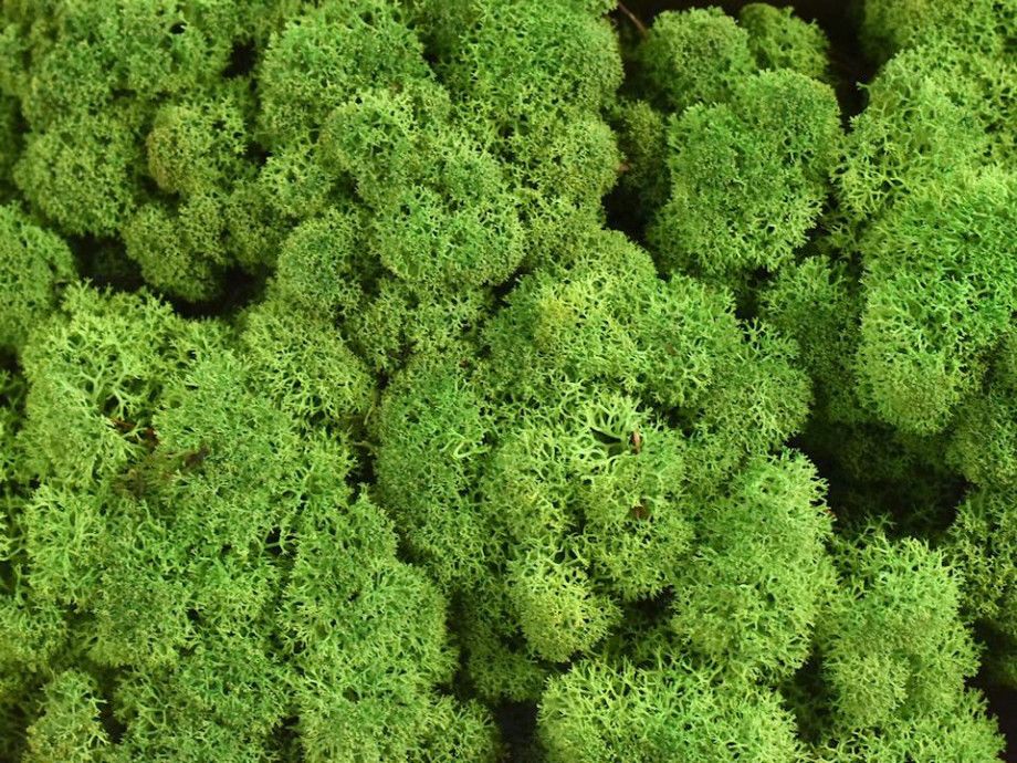 [object Object]fotka9