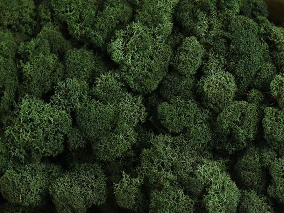 [object Object]fotka10