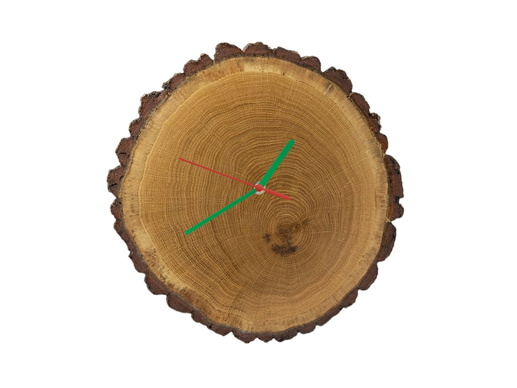 [object Object]fotka3