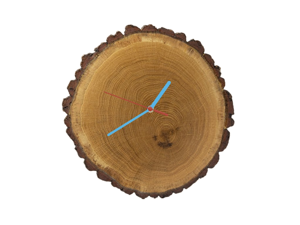 [object Object]fotka4
