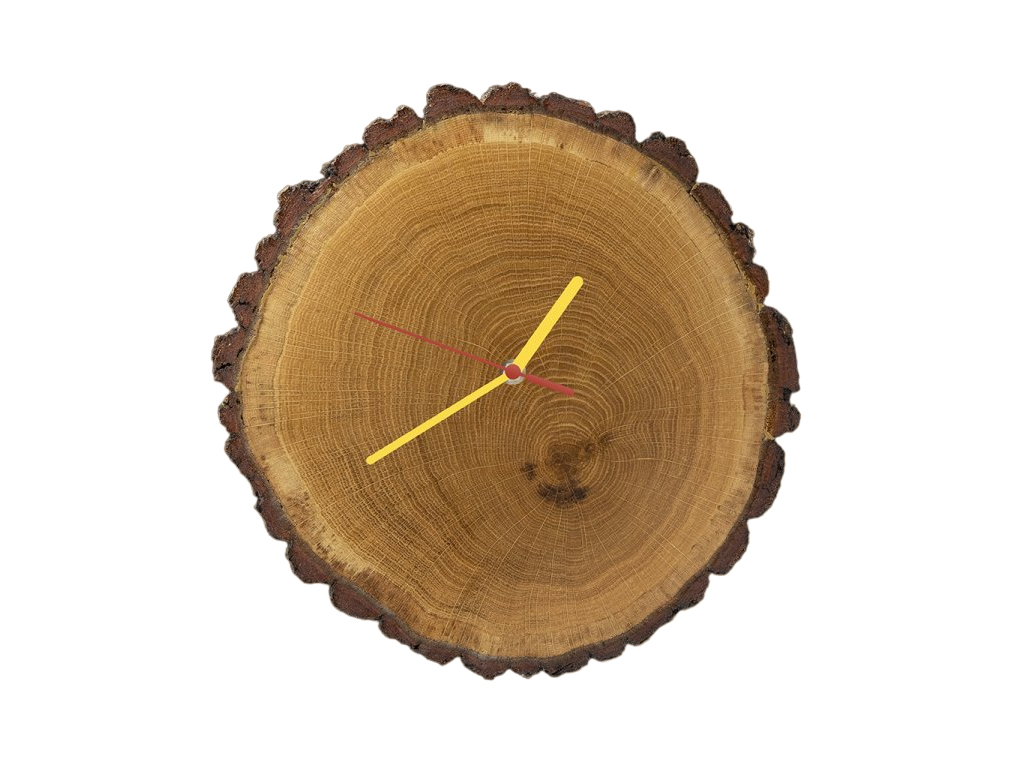 [object Object]fotka5