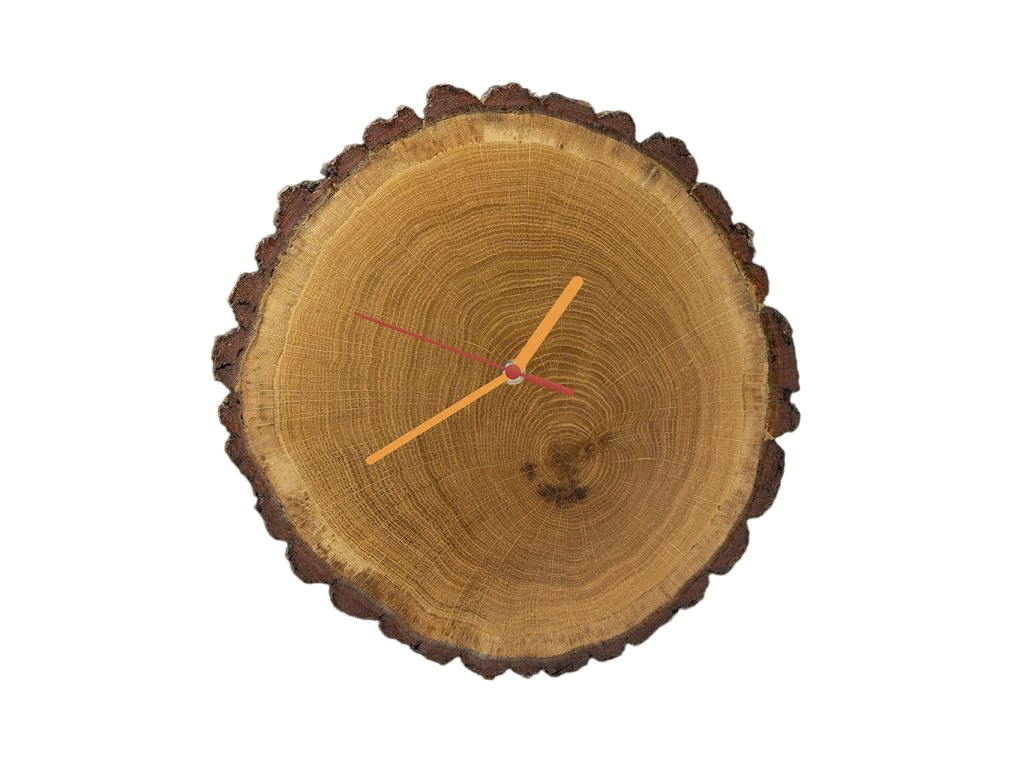 [object Object]fotka6