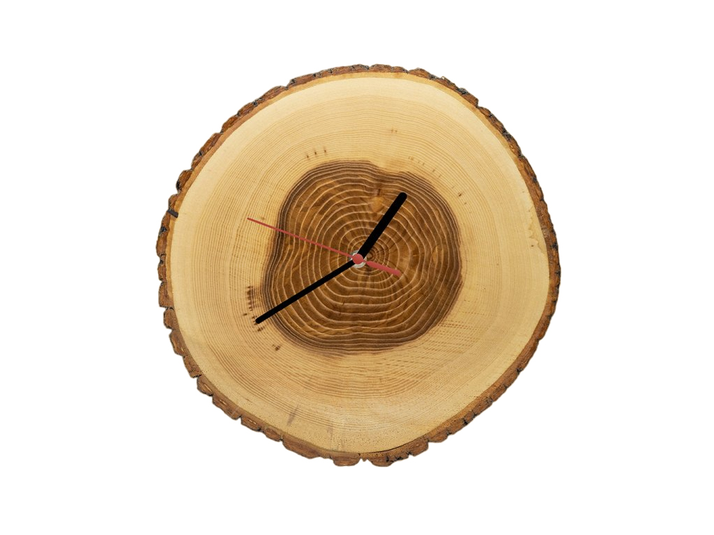 [object Object]fotka1