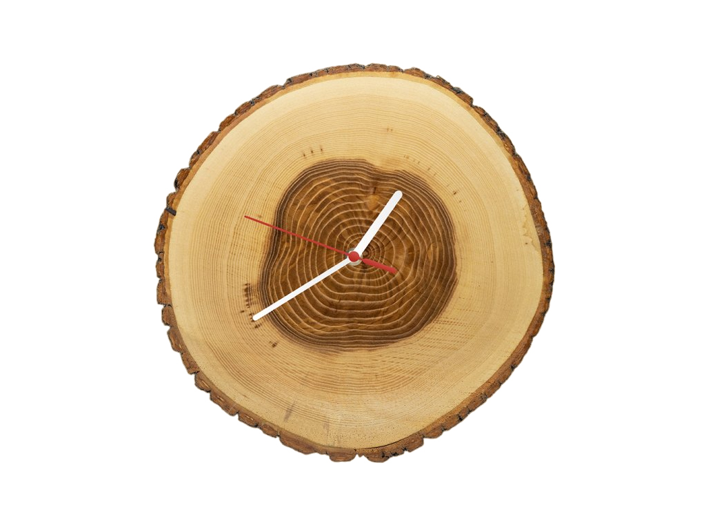 [object Object]fotka2