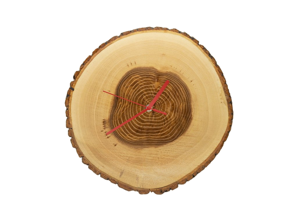 [object Object]fotka3