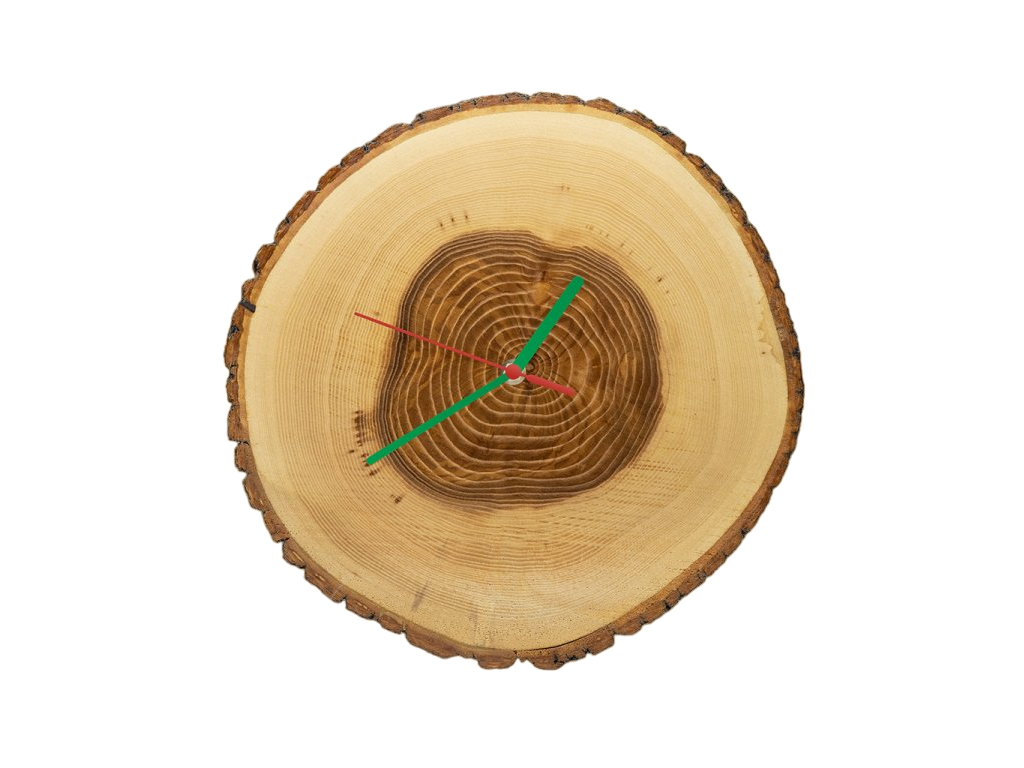 [object Object]fotka4