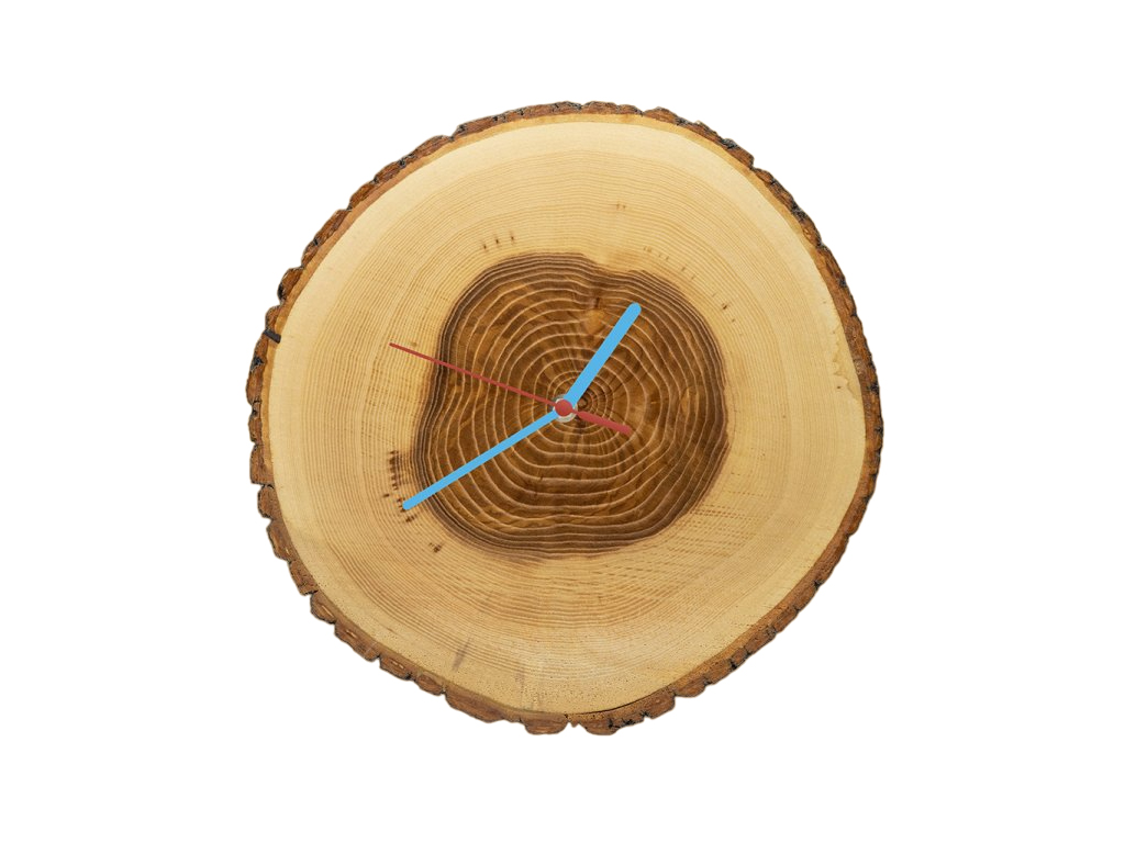 [object Object]fotka5