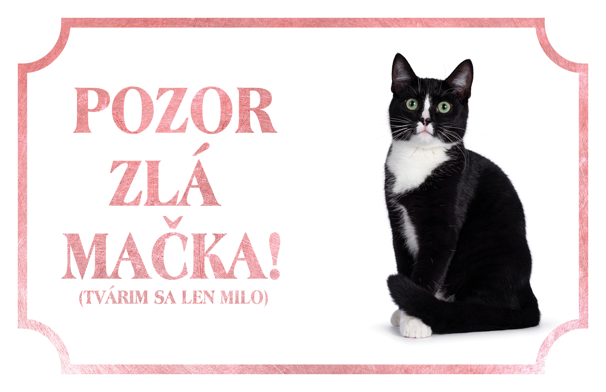 [object Object]fotka2