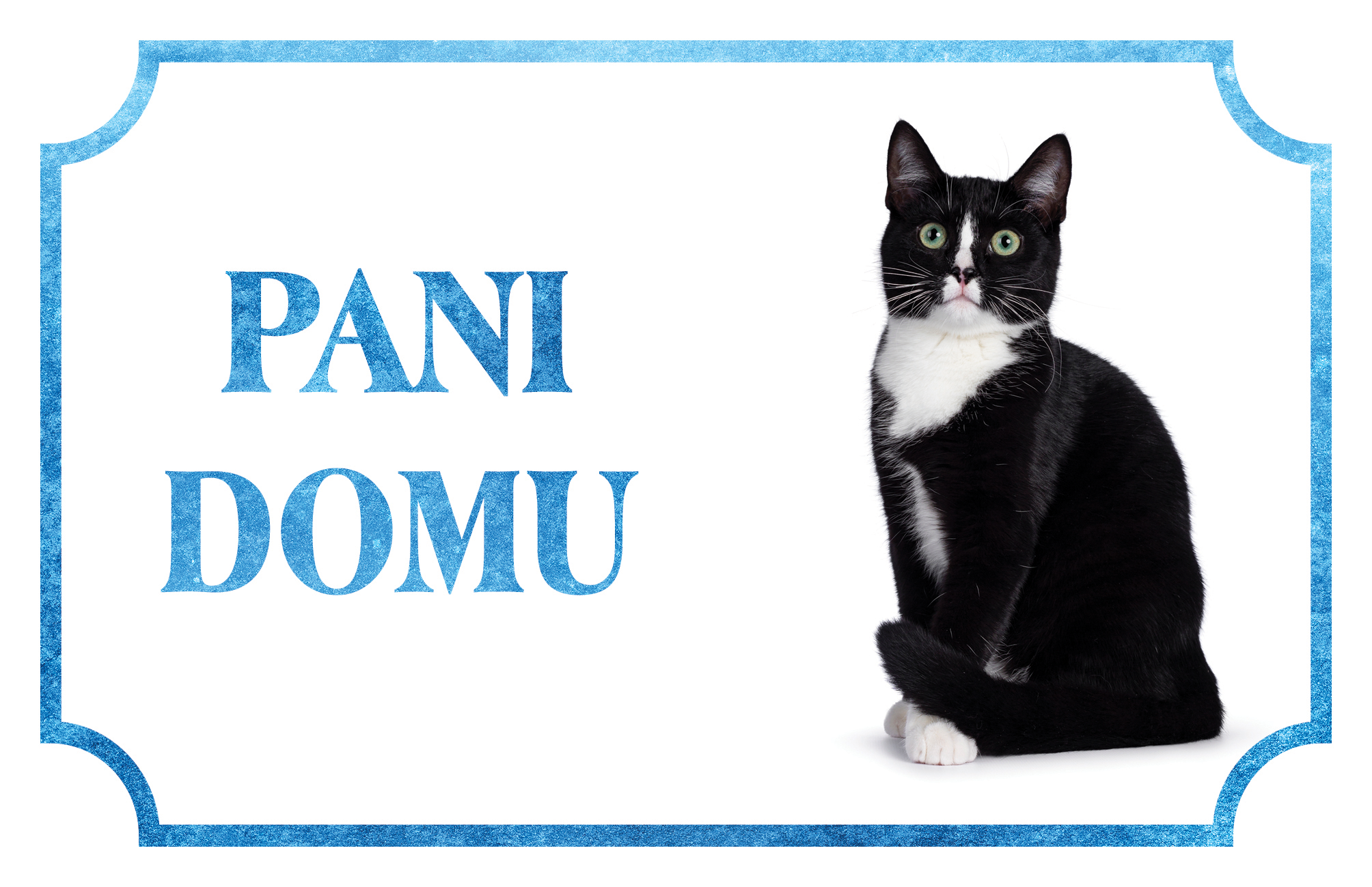 [object Object]fotka3