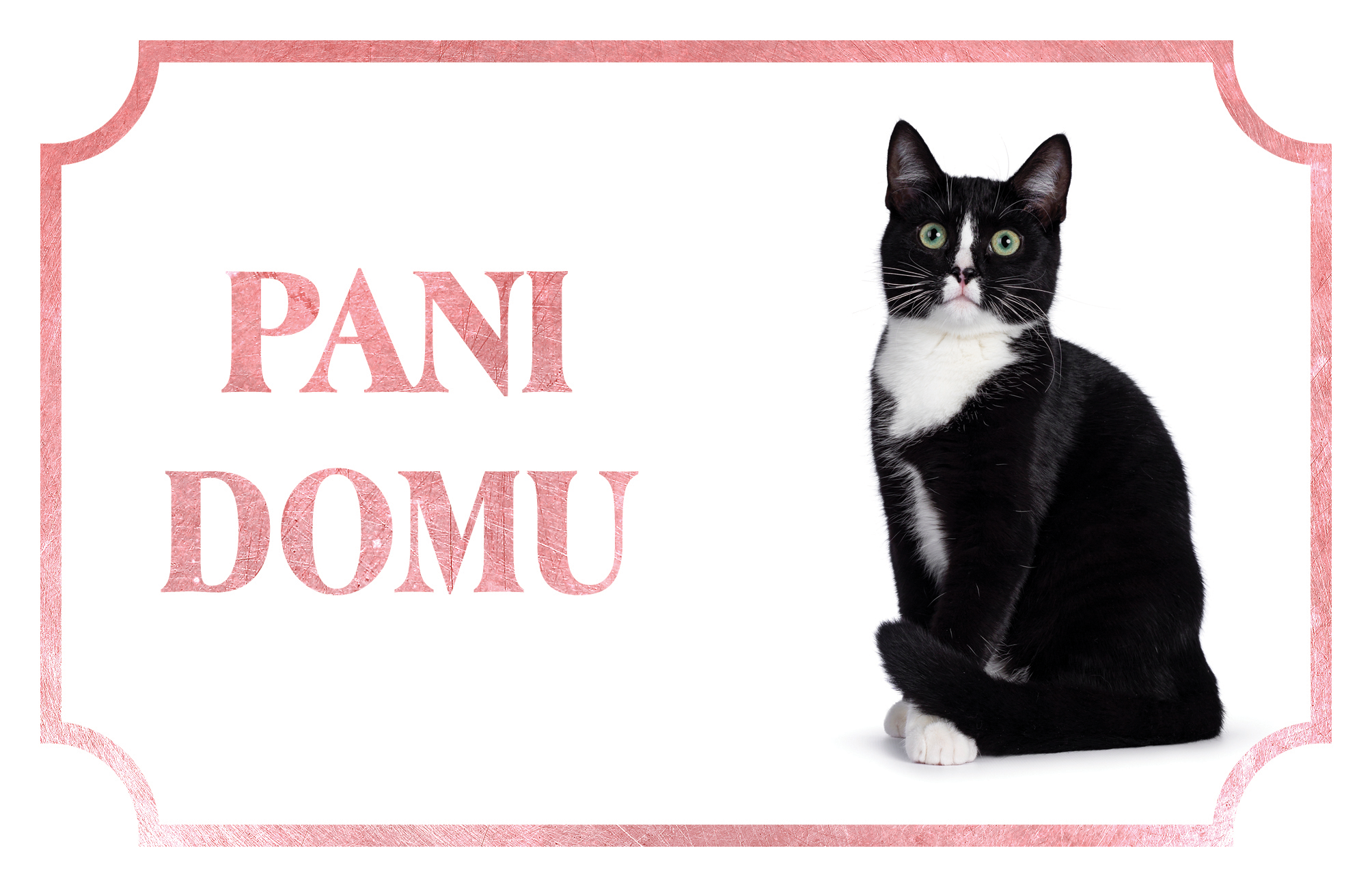 [object Object]fotka4