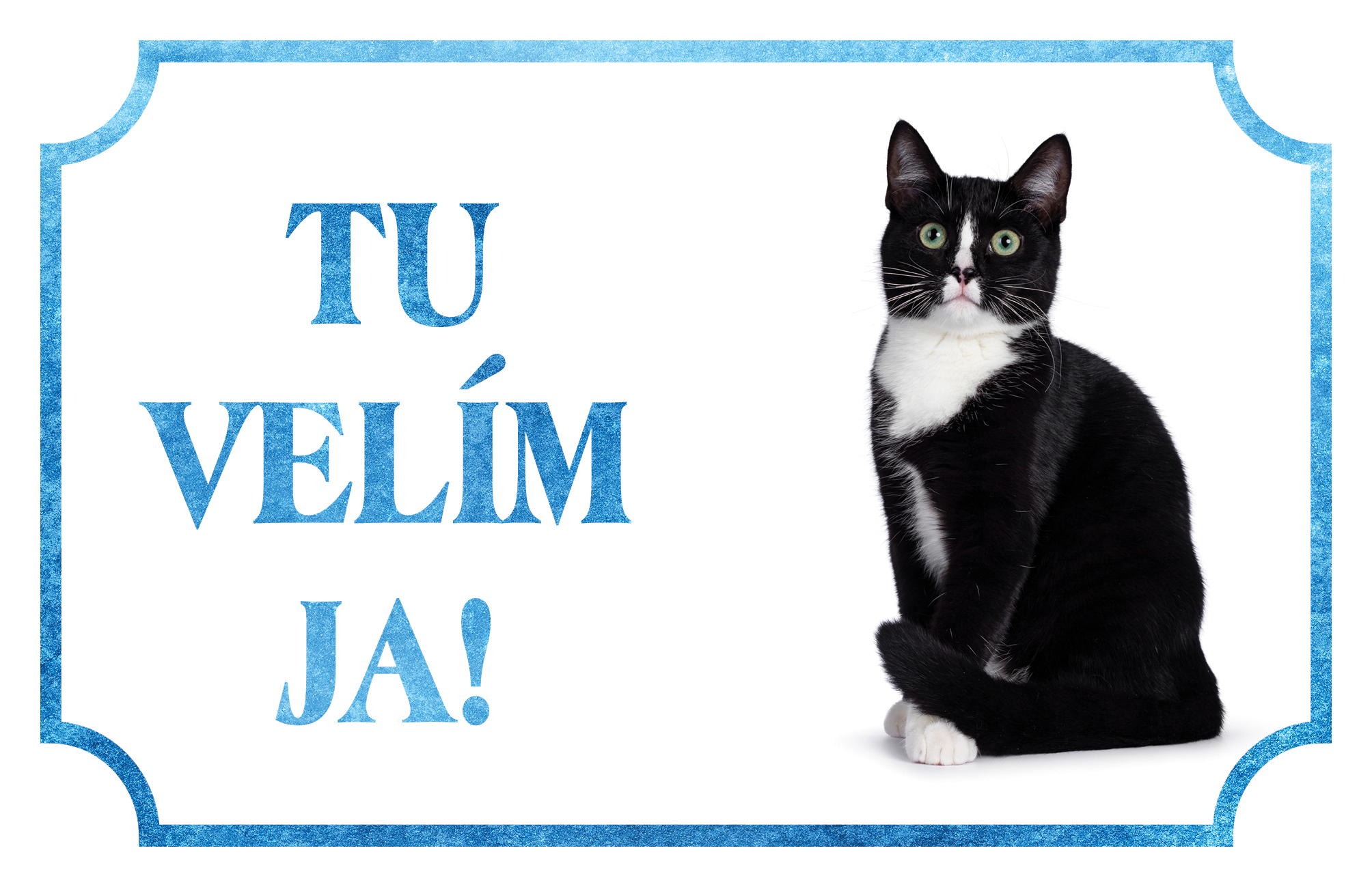 [object Object]fotka5