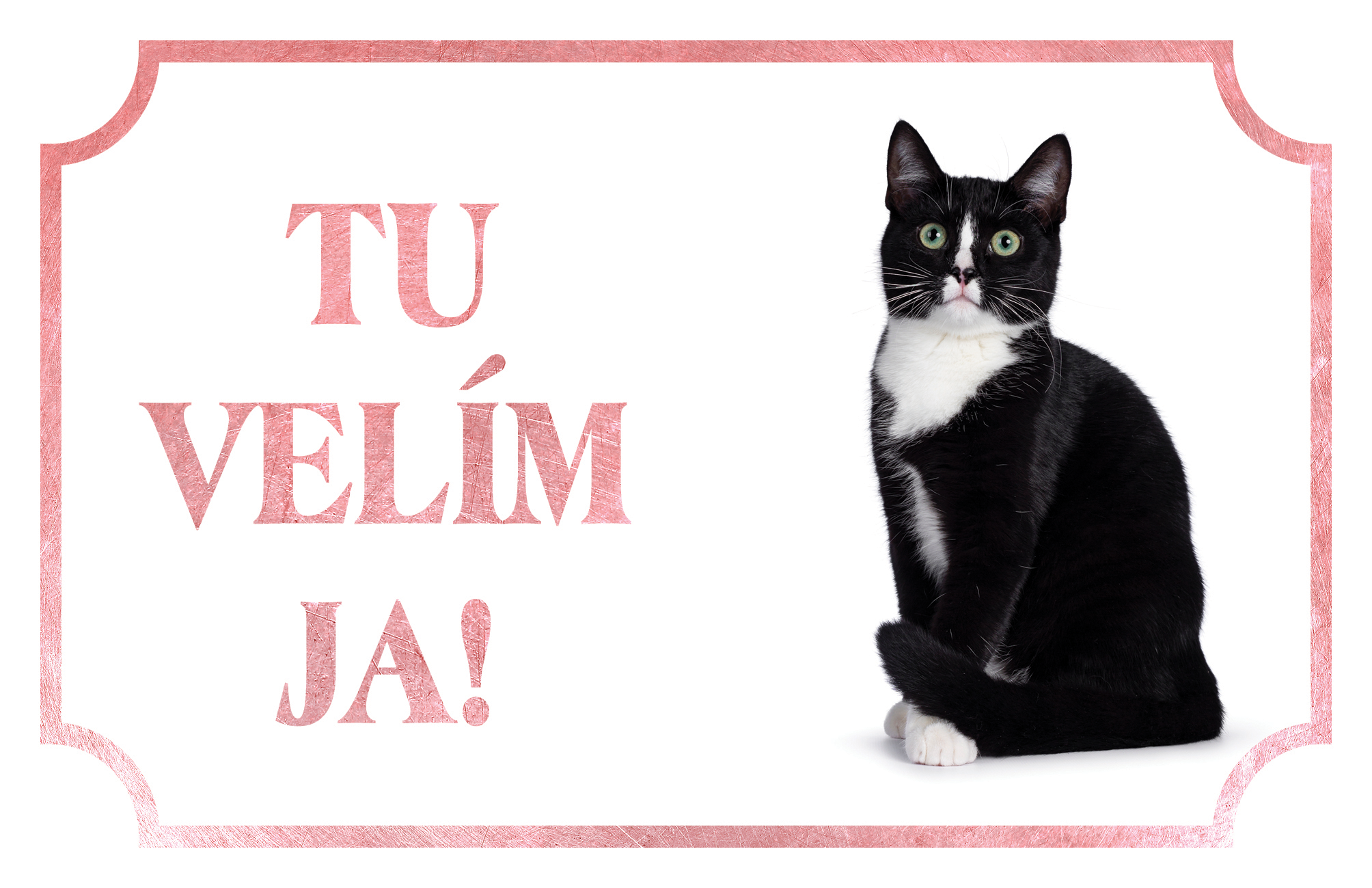 [object Object]fotka6