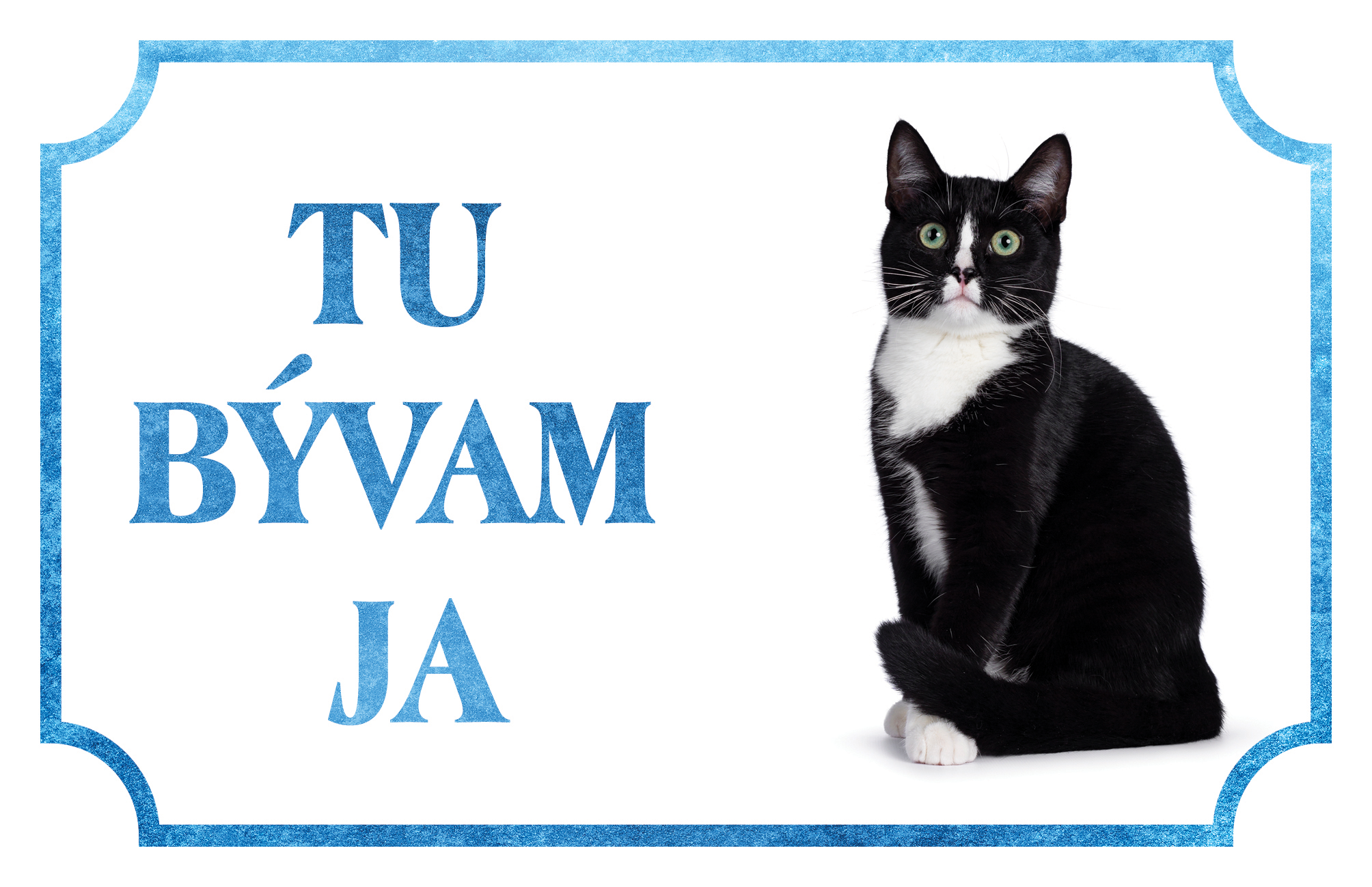 [object Object]fotka7