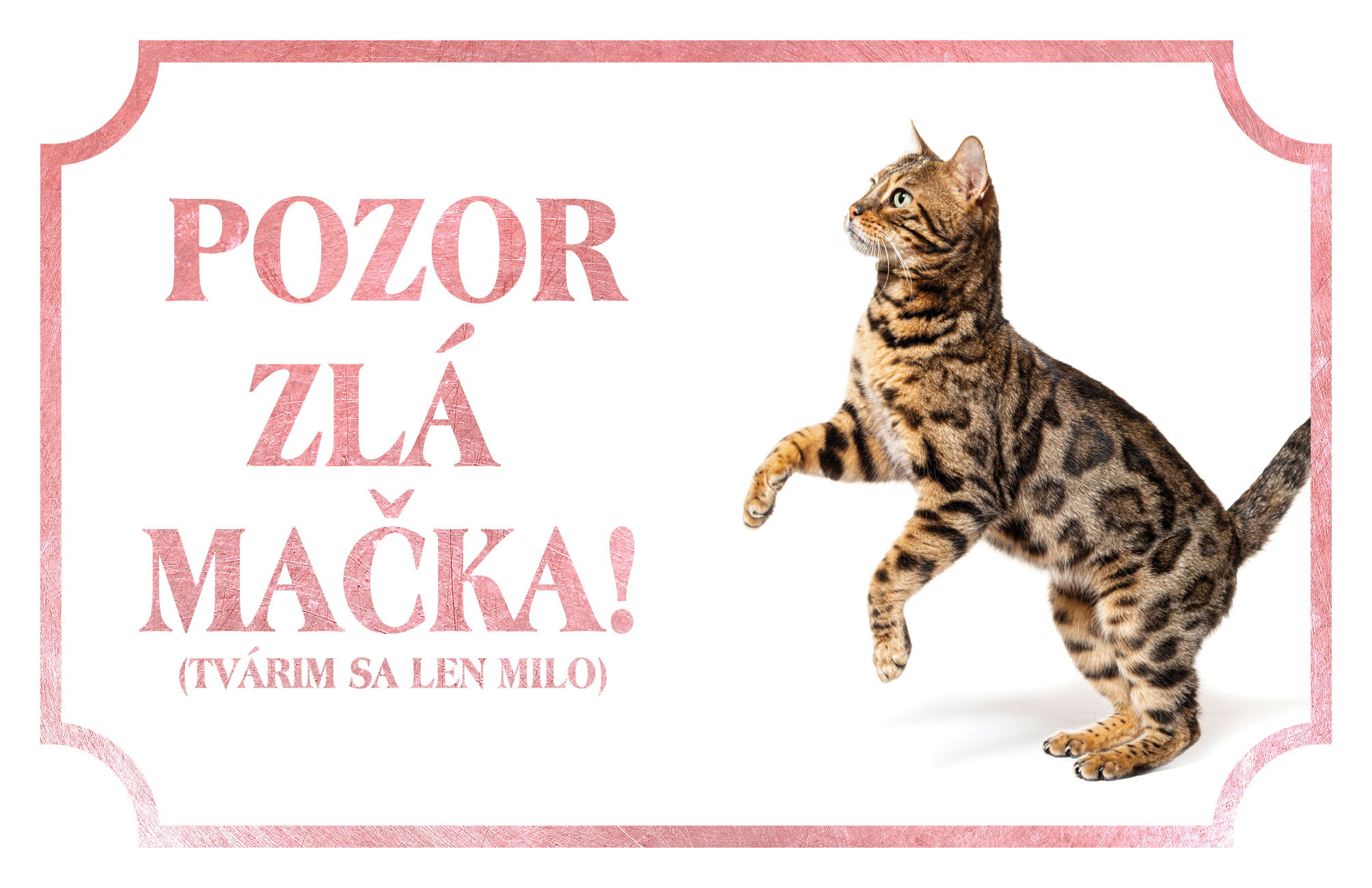 [object Object]fotka2