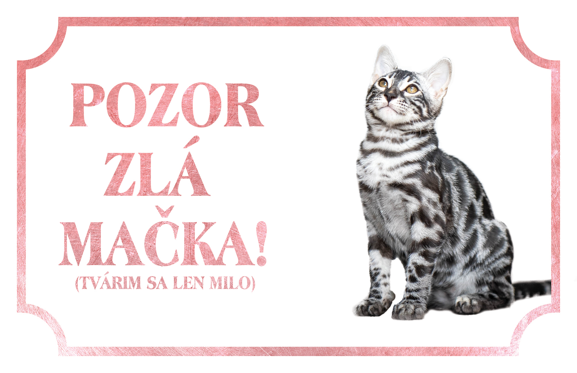 [object Object]fotka2