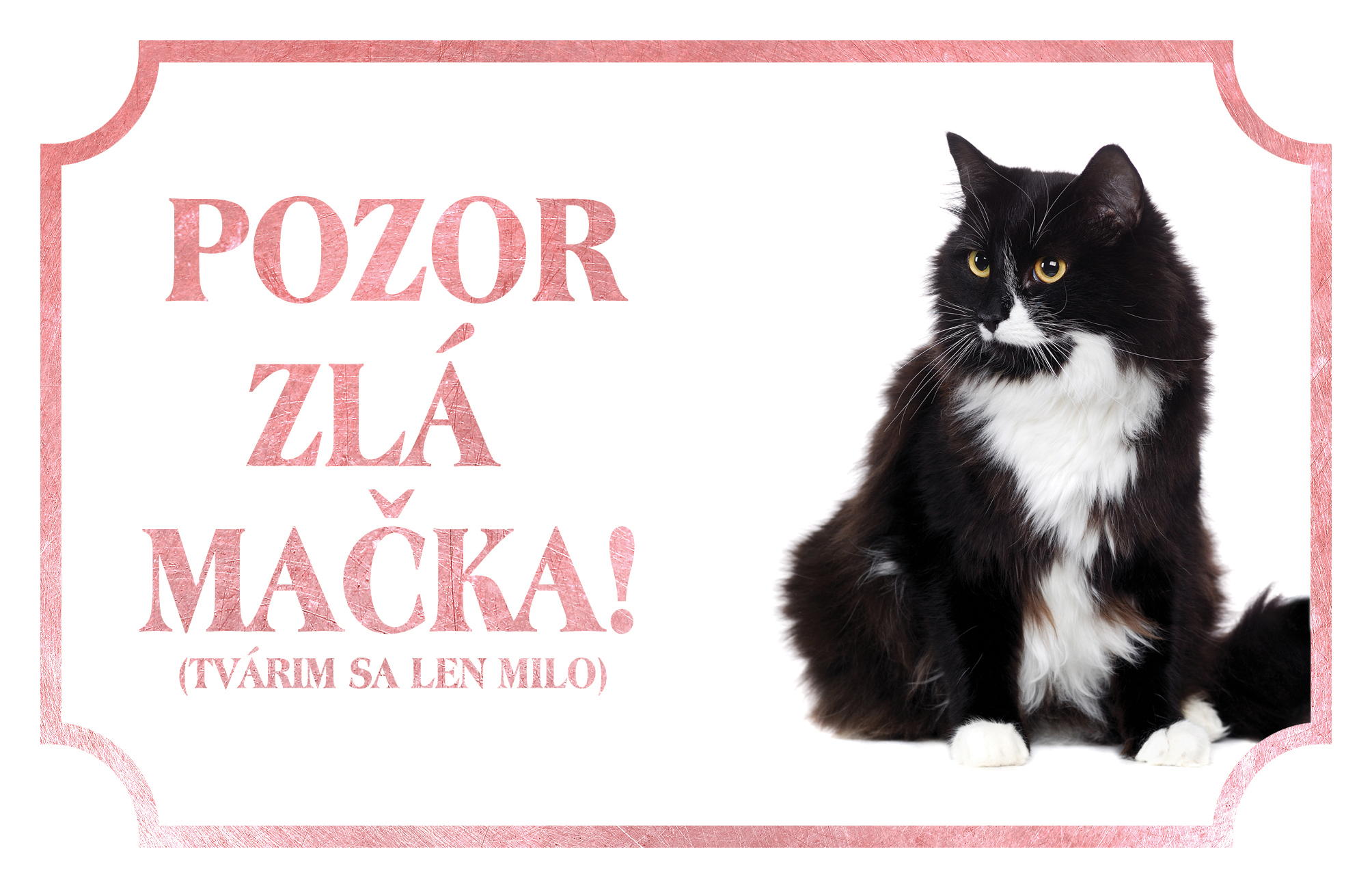 [object Object]fotka2