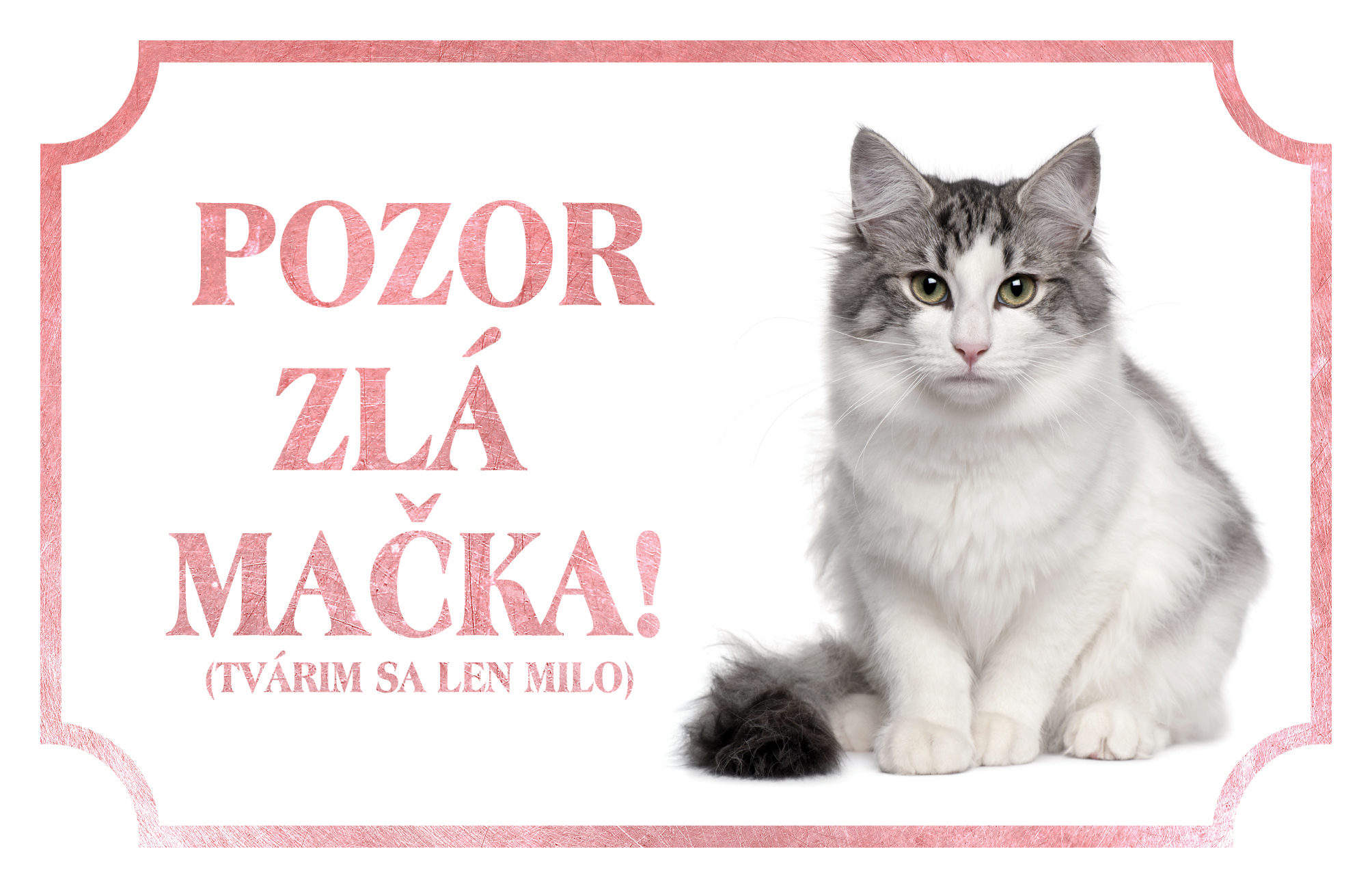 [object Object]fotka2