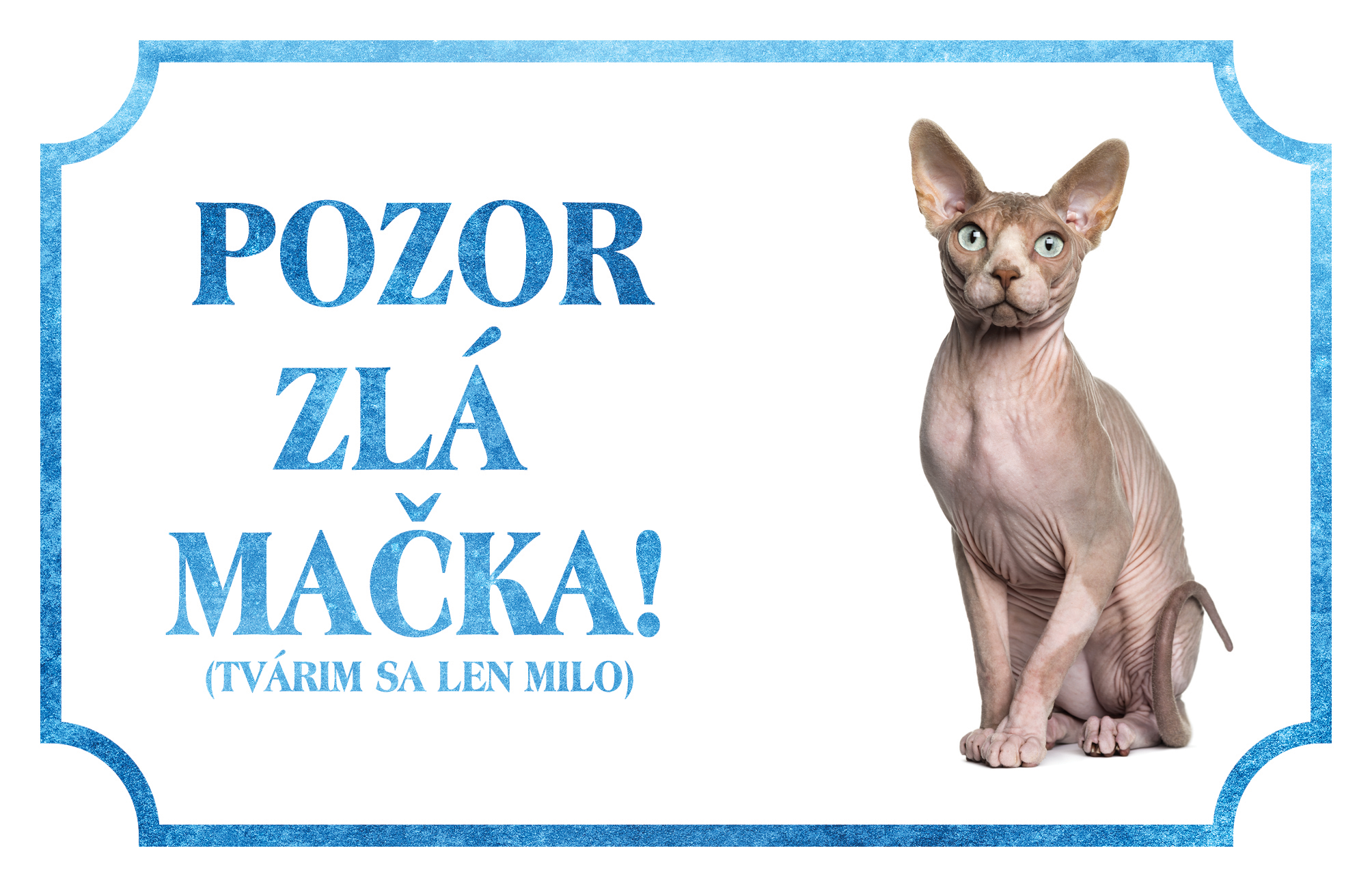 [object Object]fotka1