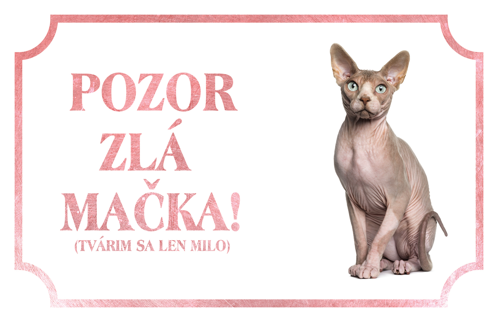 [object Object]fotka2