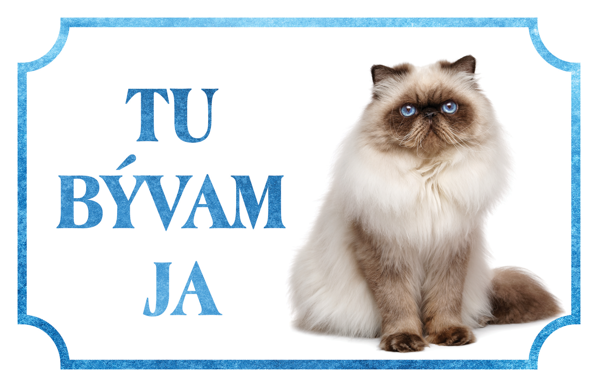 [object Object]fotka1