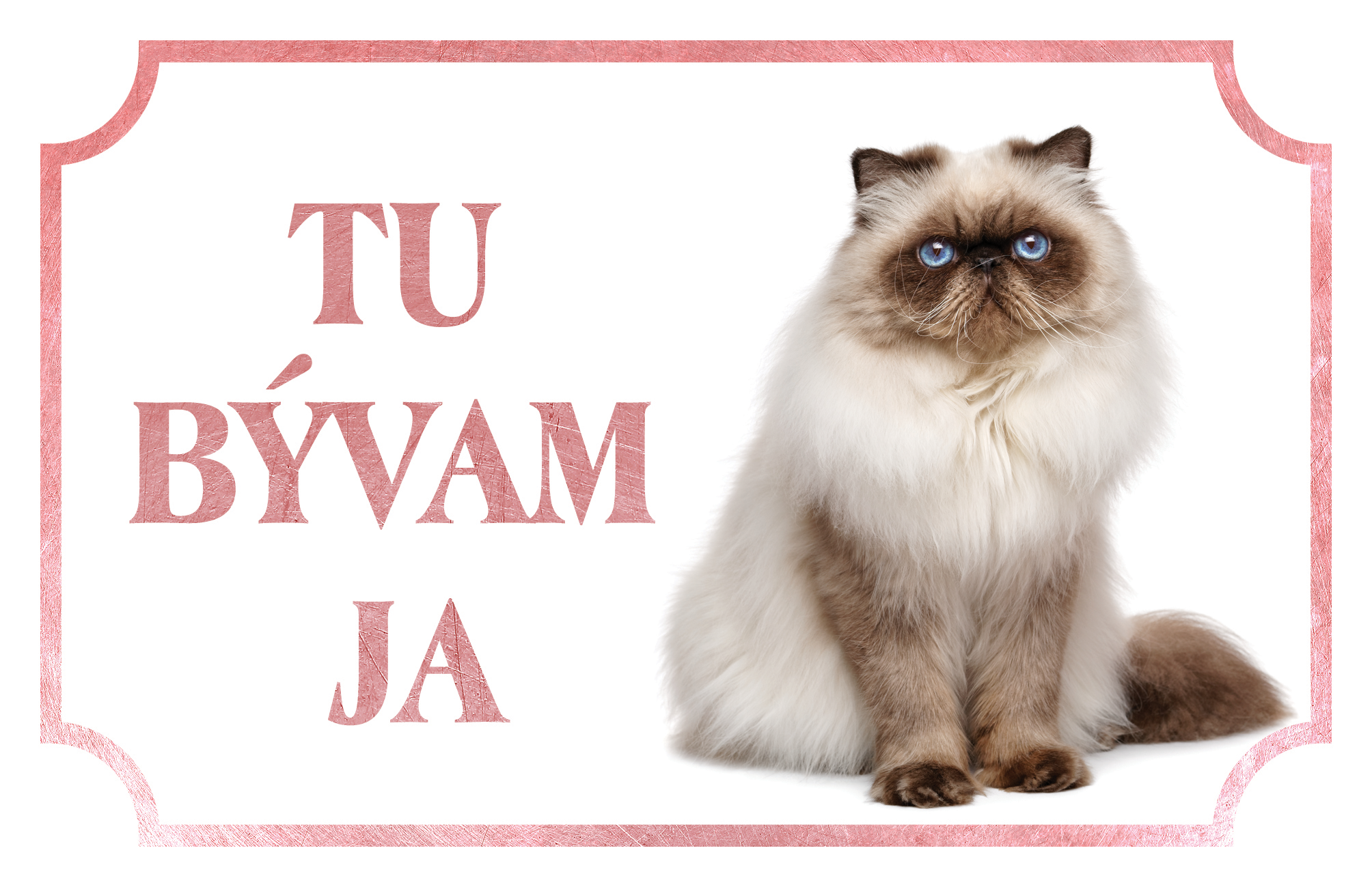 [object Object]fotka2