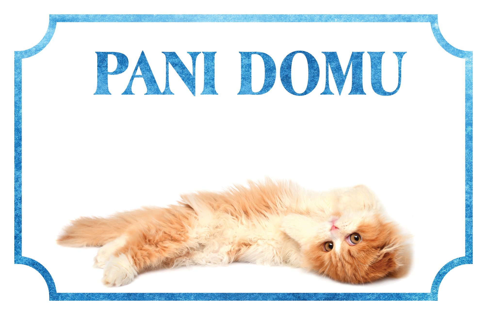 [object Object]fotka1