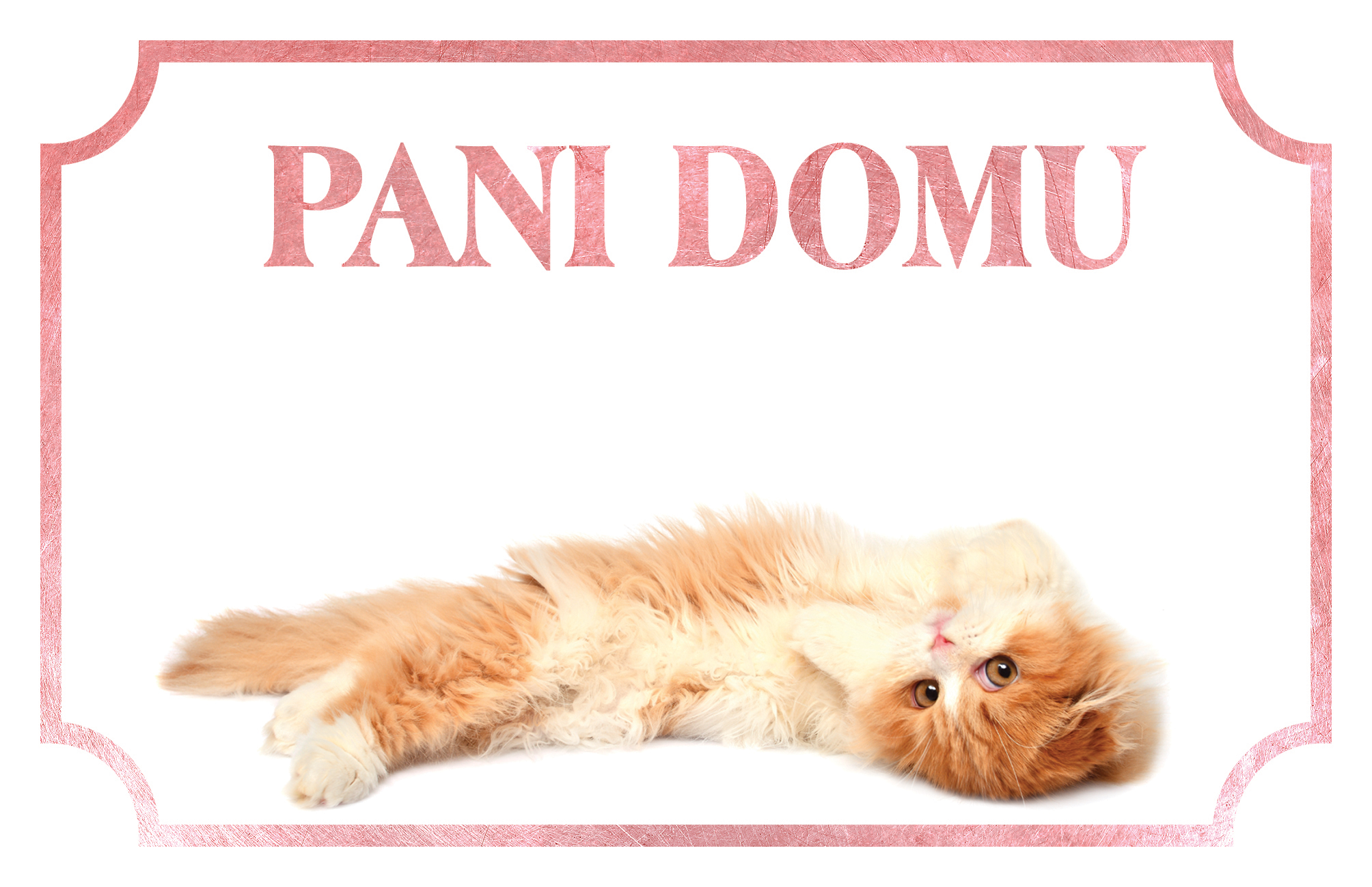 [object Object]fotka2