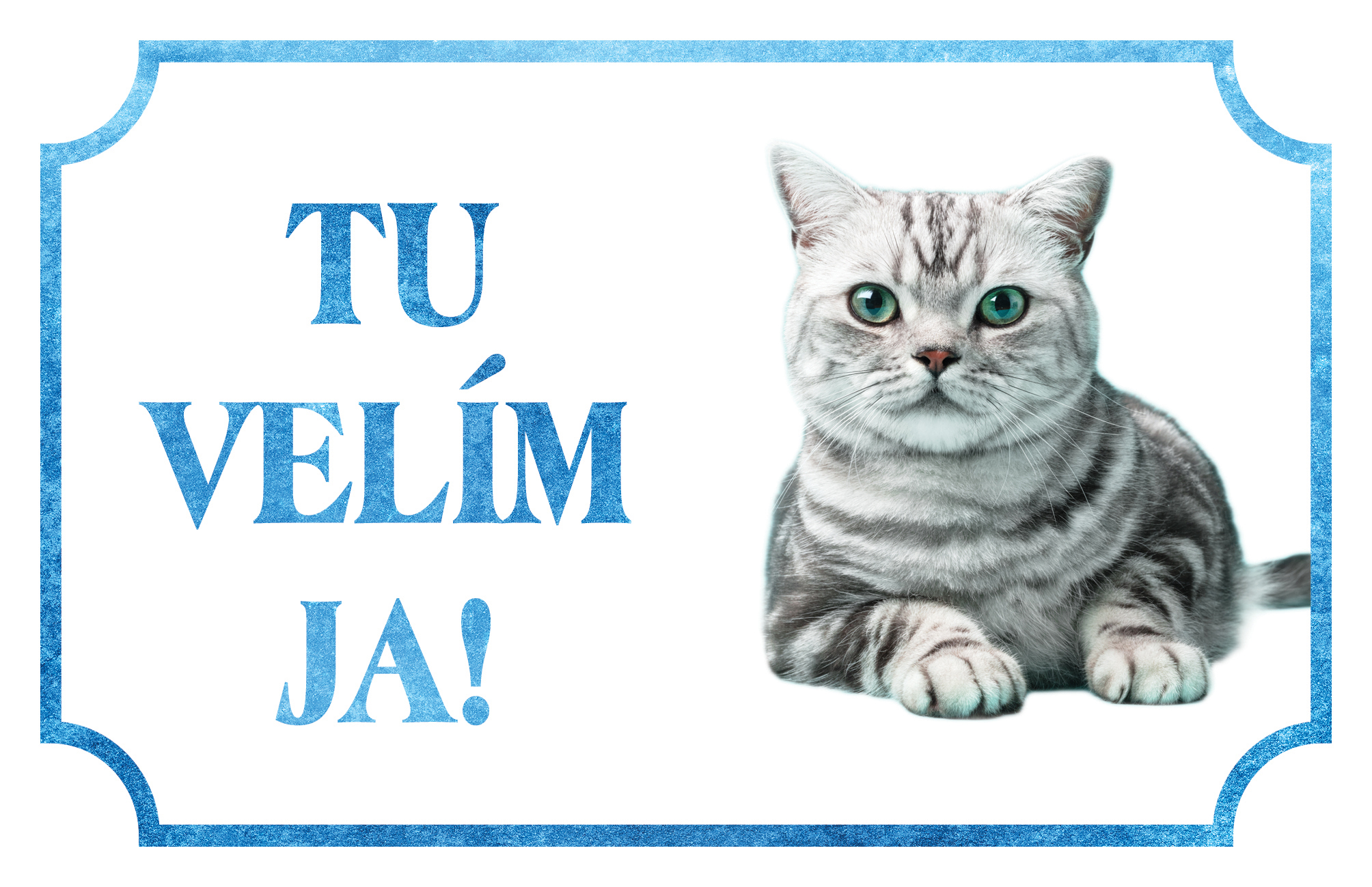 [object Object]fotka1