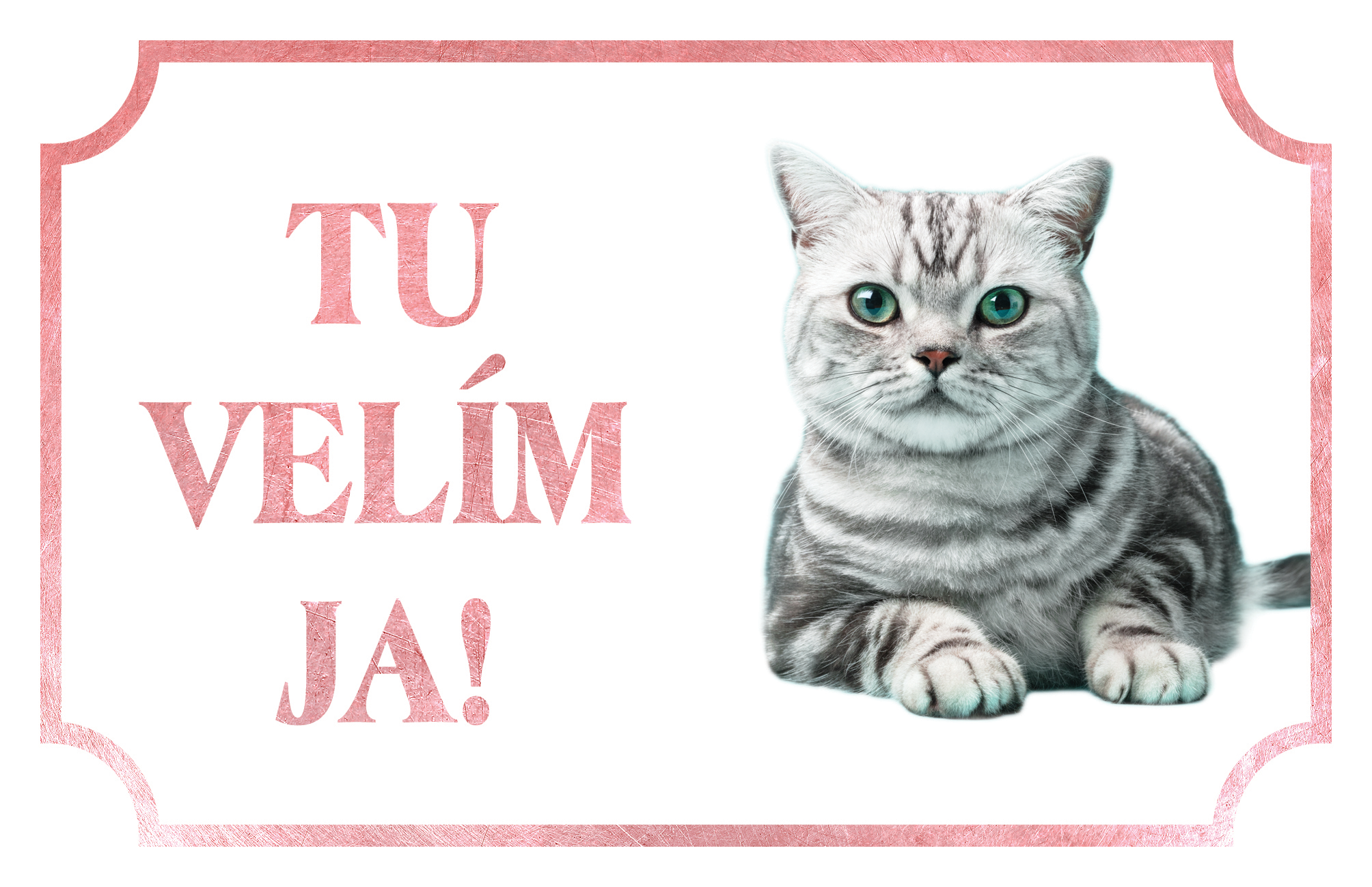 [object Object]fotka2