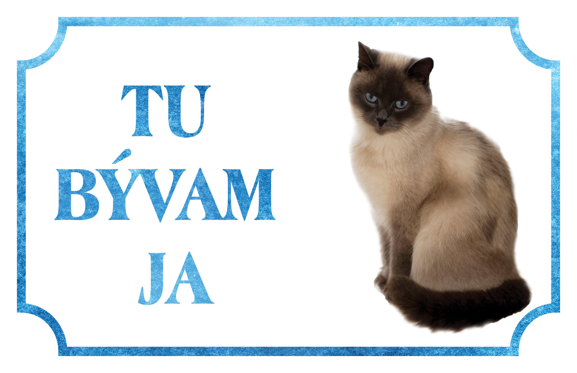 [object Object]fotka1