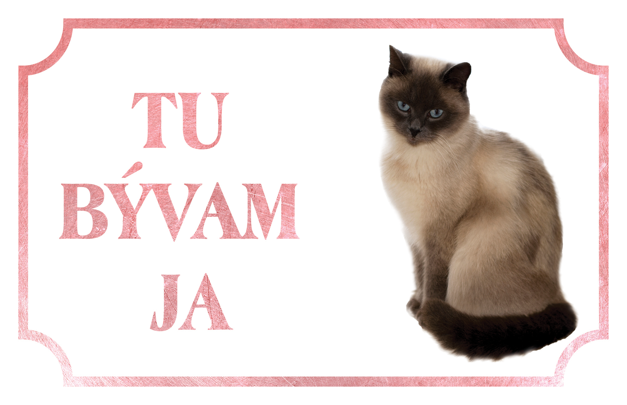 [object Object]fotka2