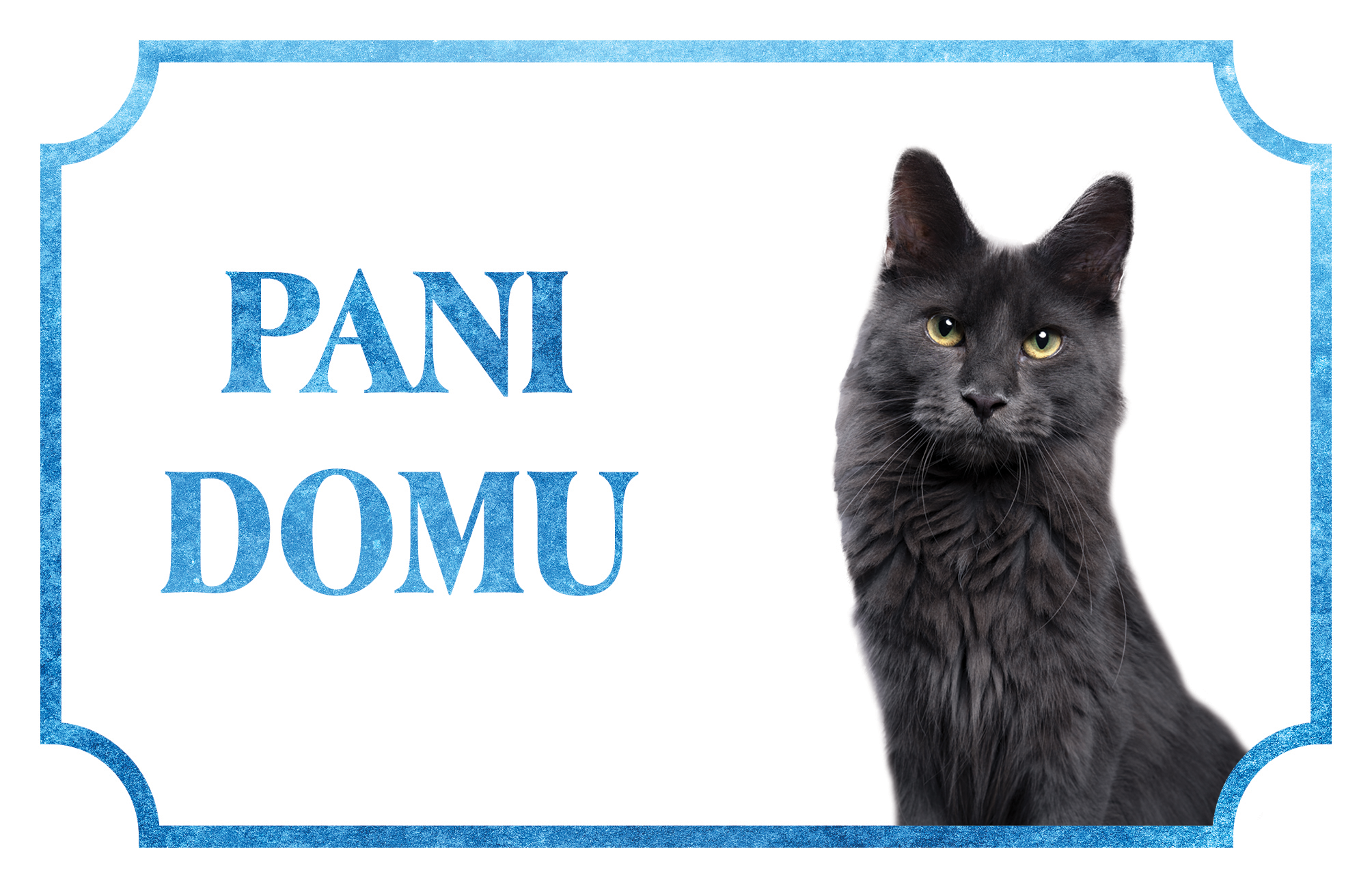 [object Object]fotka1