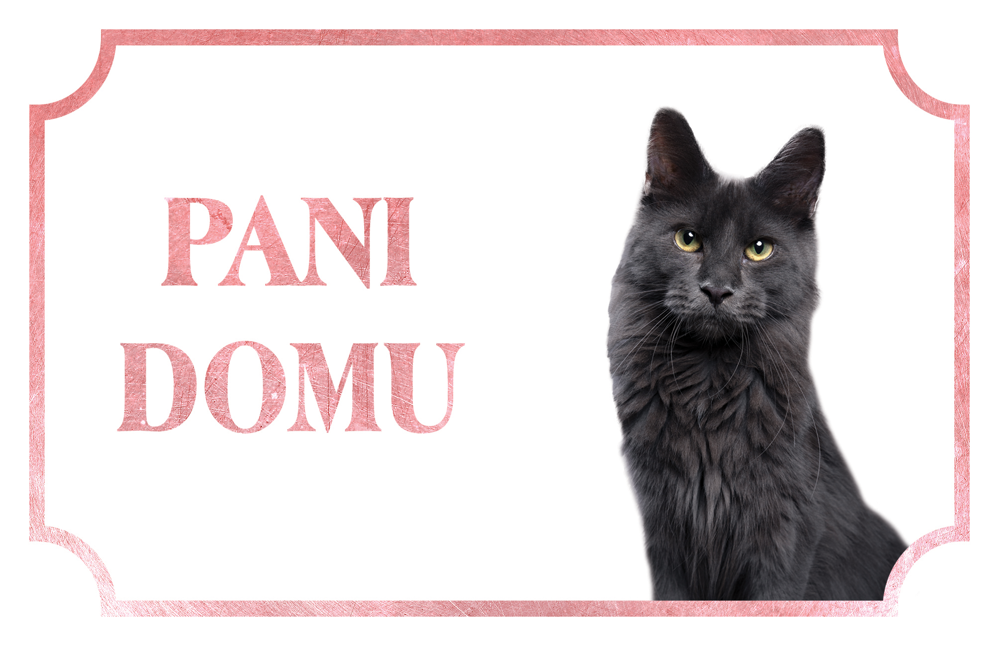 [object Object]fotka2