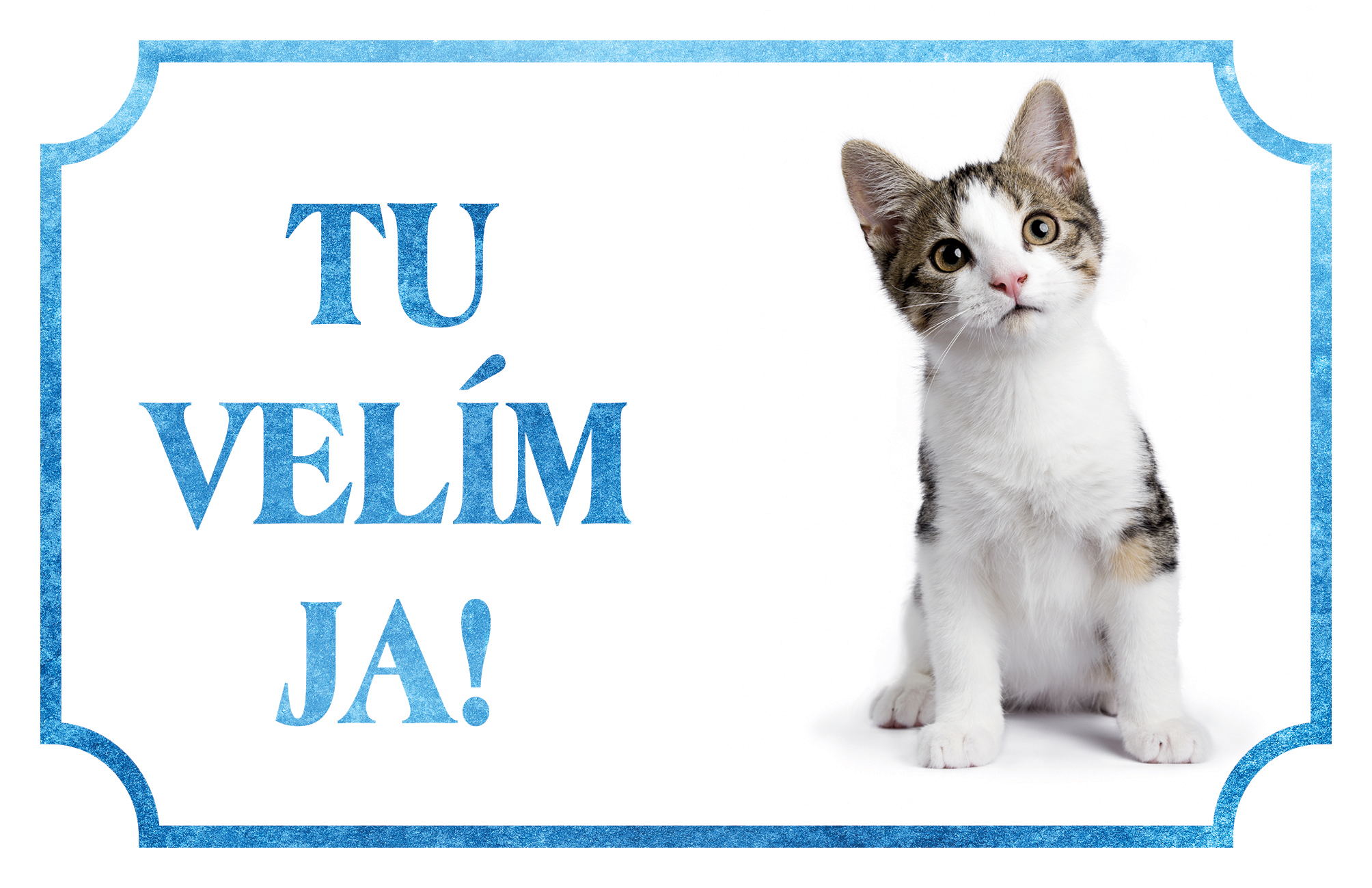 [object Object]fotka1