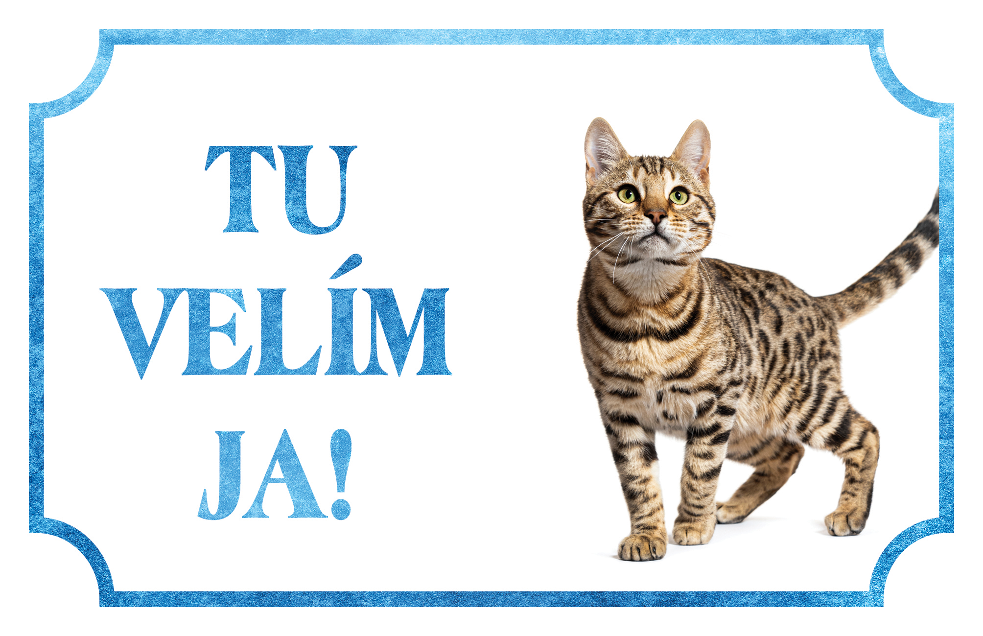 [object Object]fotka1