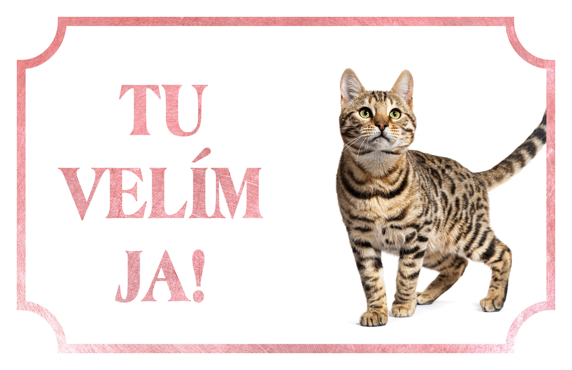 [object Object]fotka2