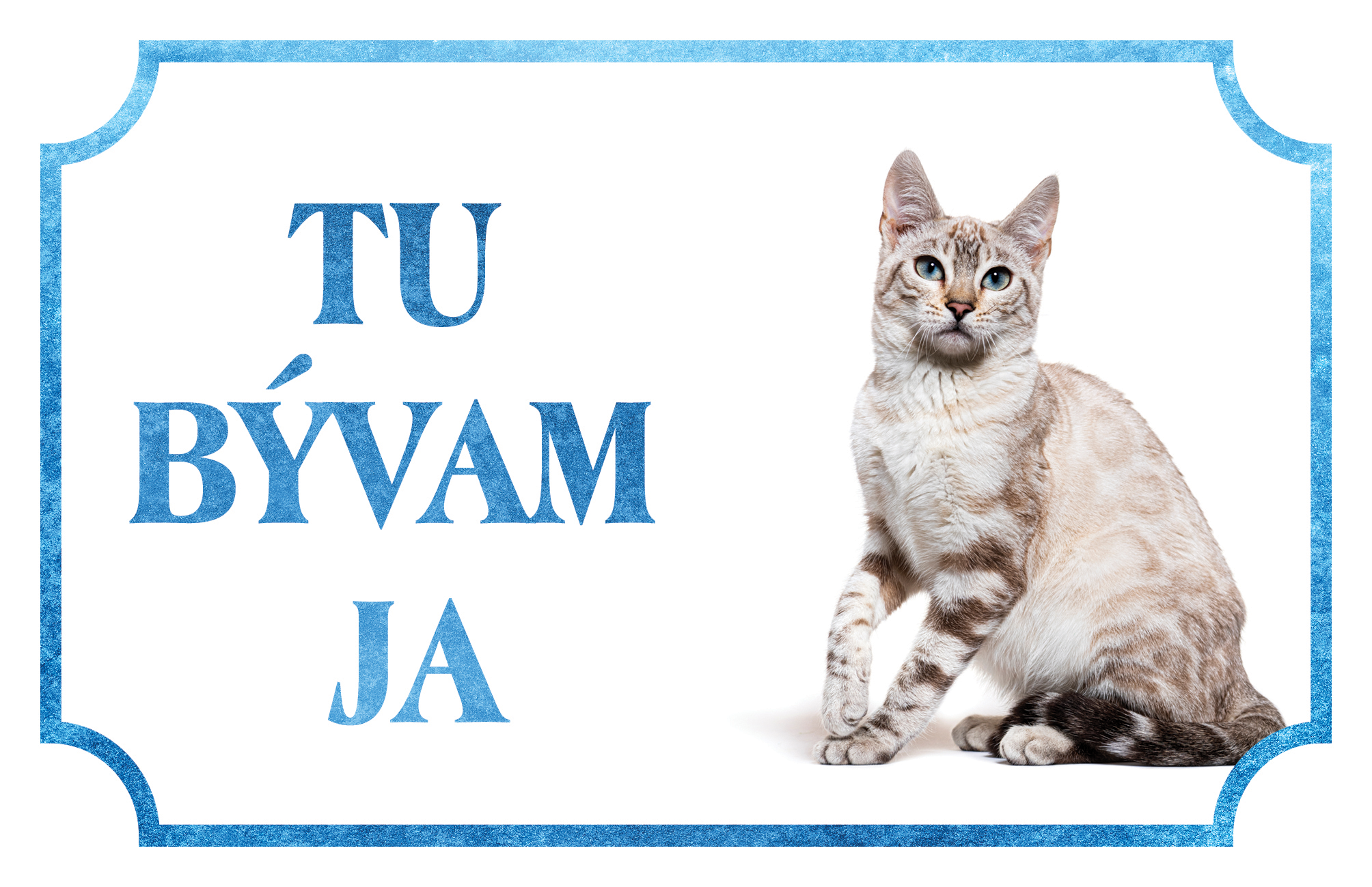 [object Object]fotka1