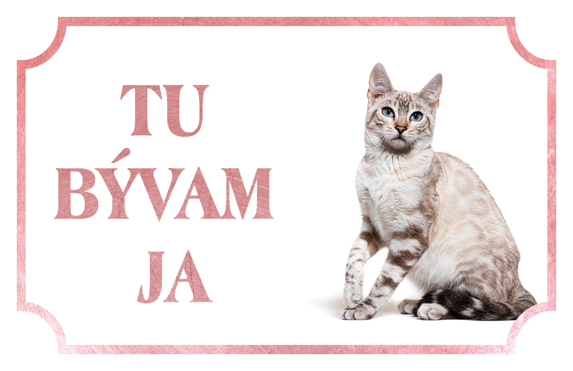 [object Object]fotka2