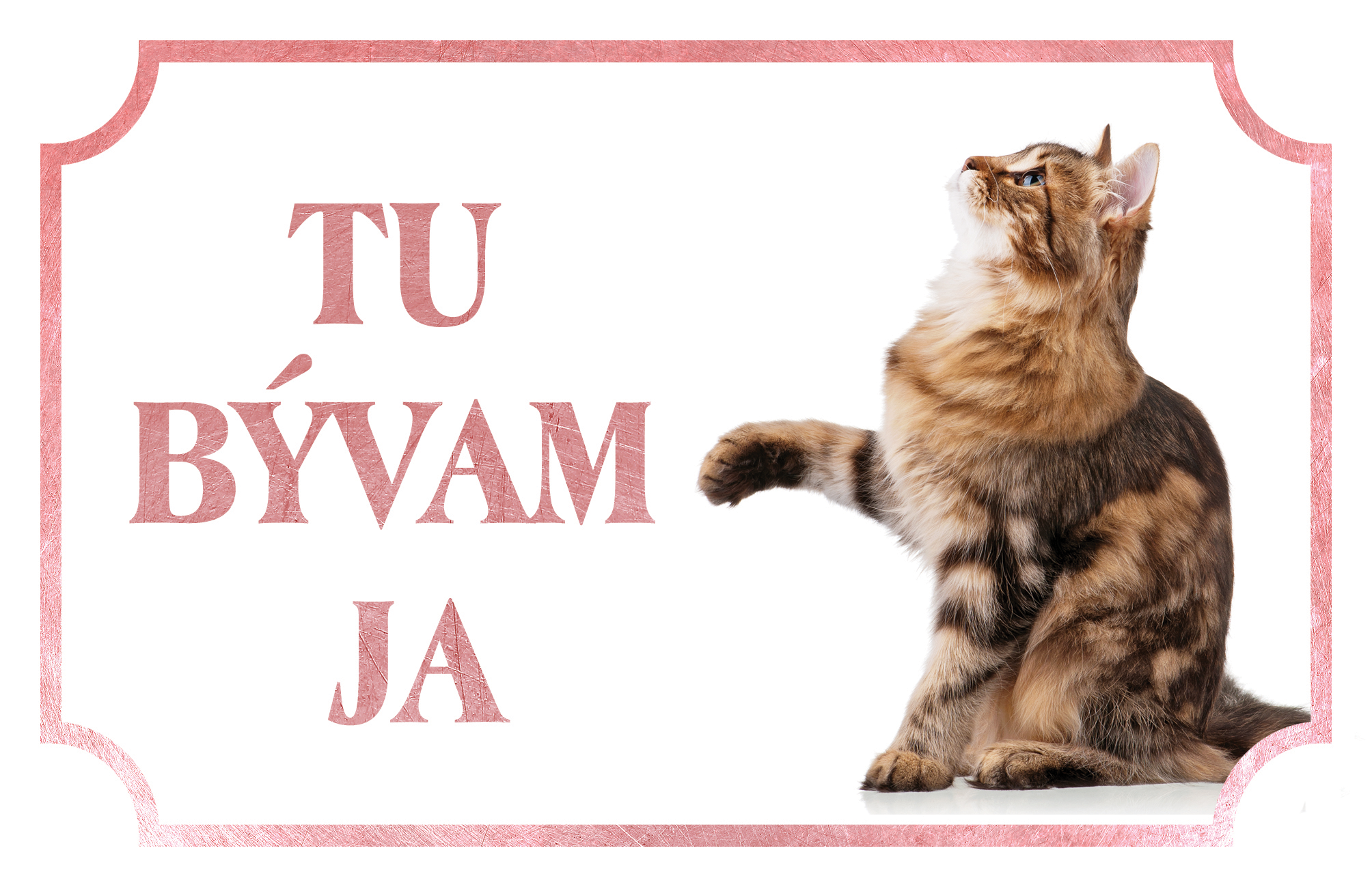 [object Object]fotka2