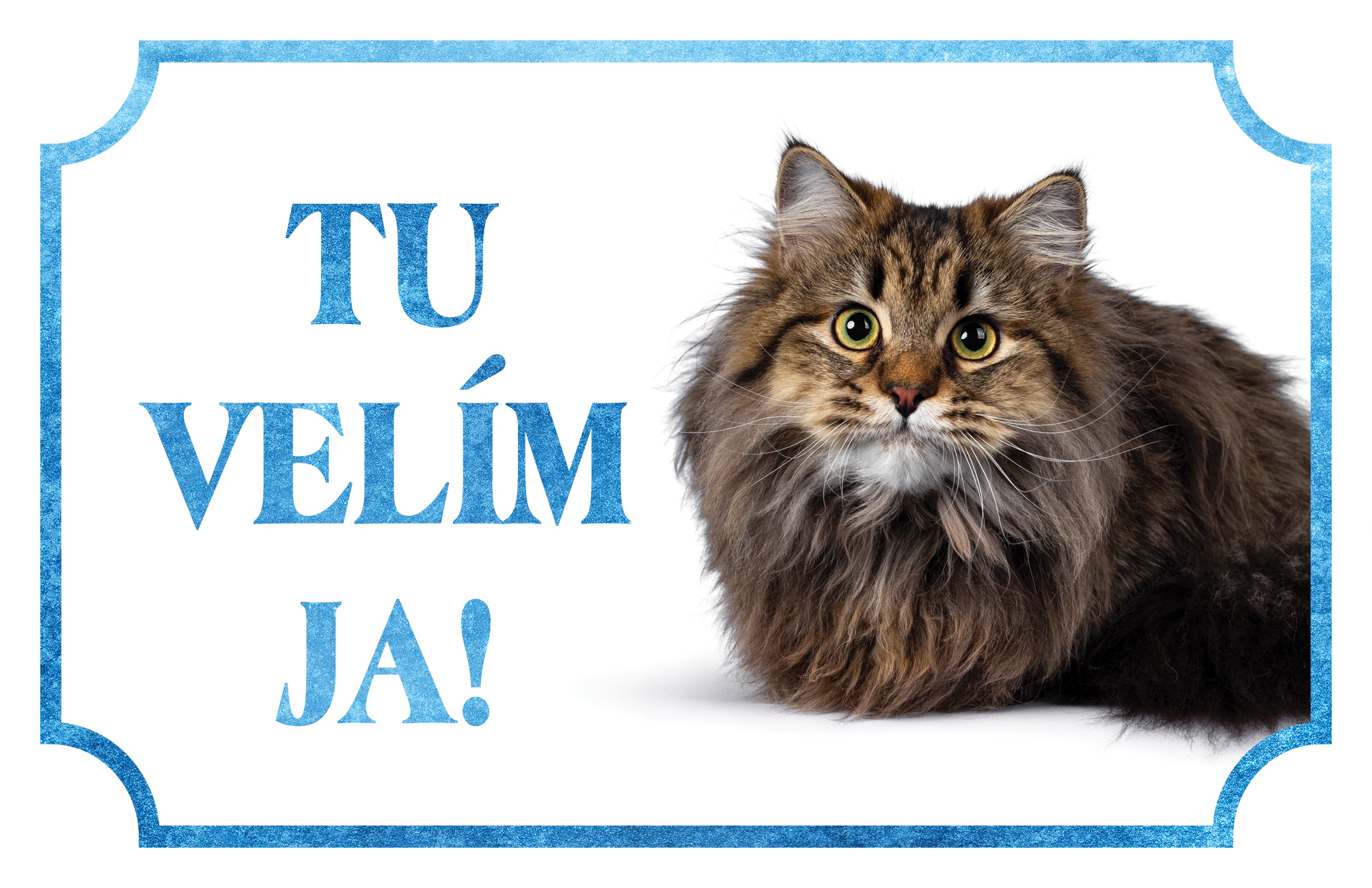 [object Object]fotka1