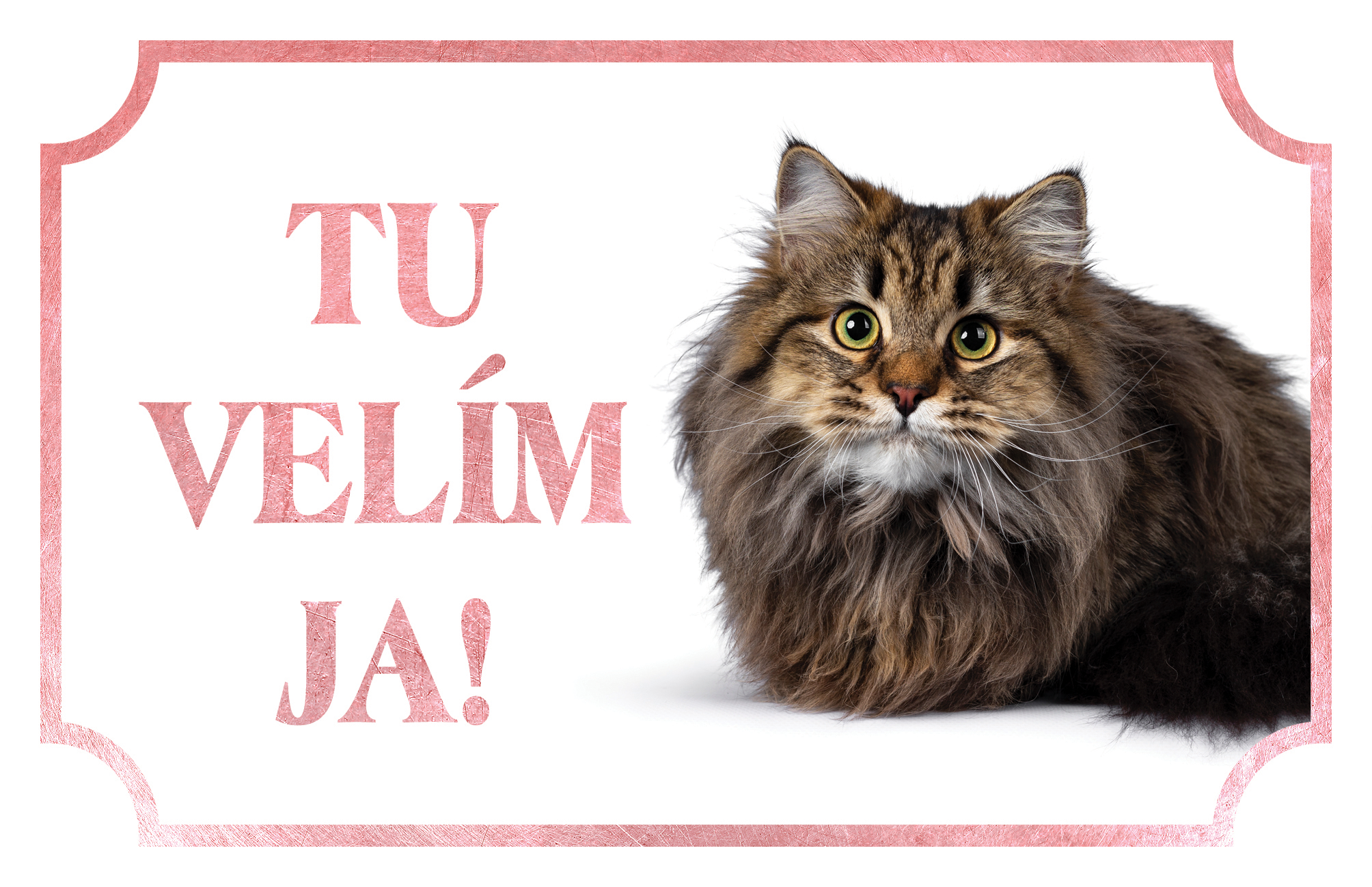 [object Object]fotka2