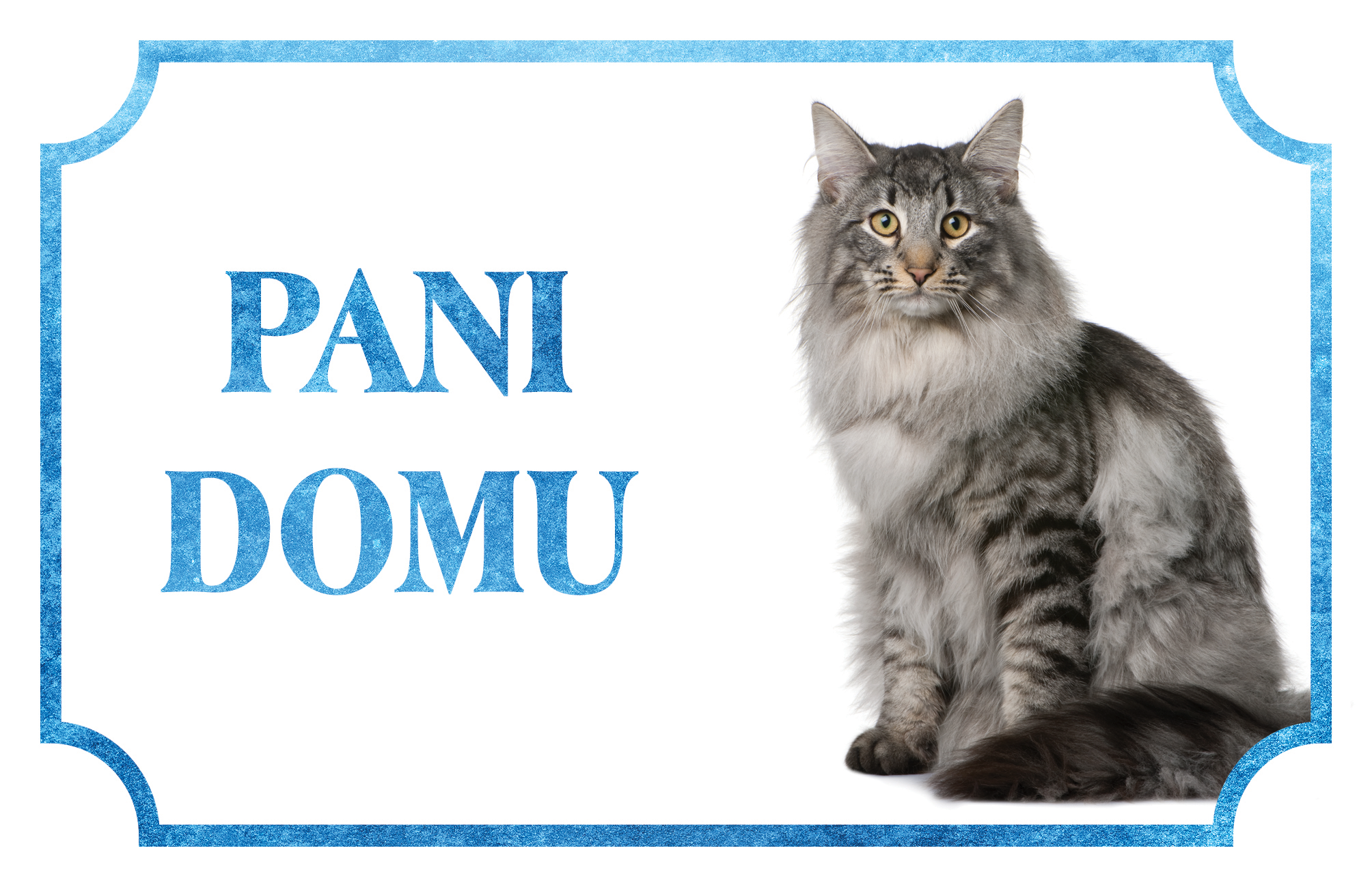 [object Object]fotka1