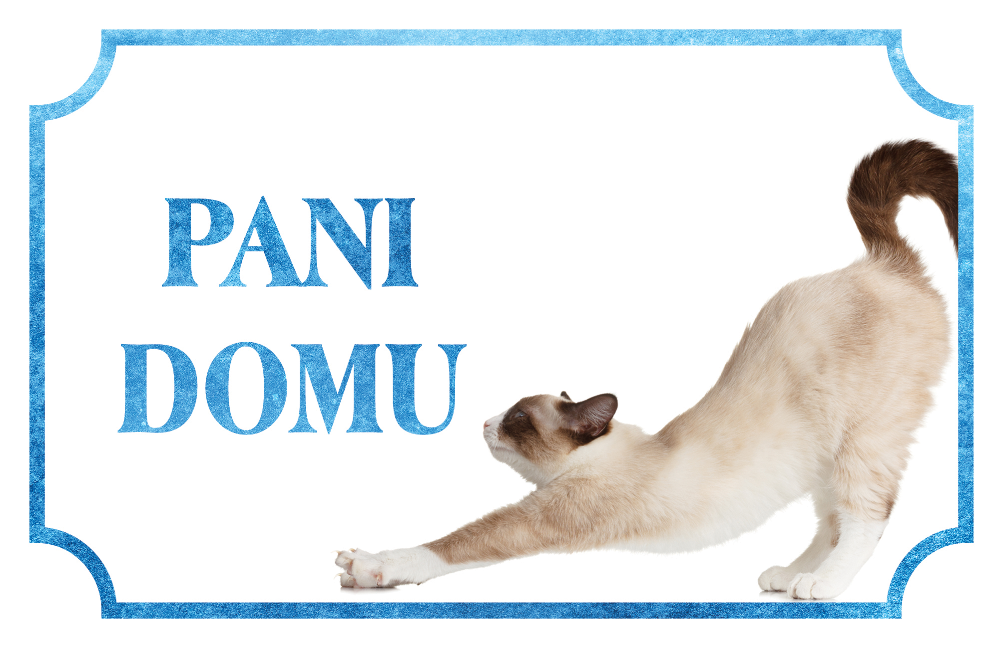 [object Object]fotka1