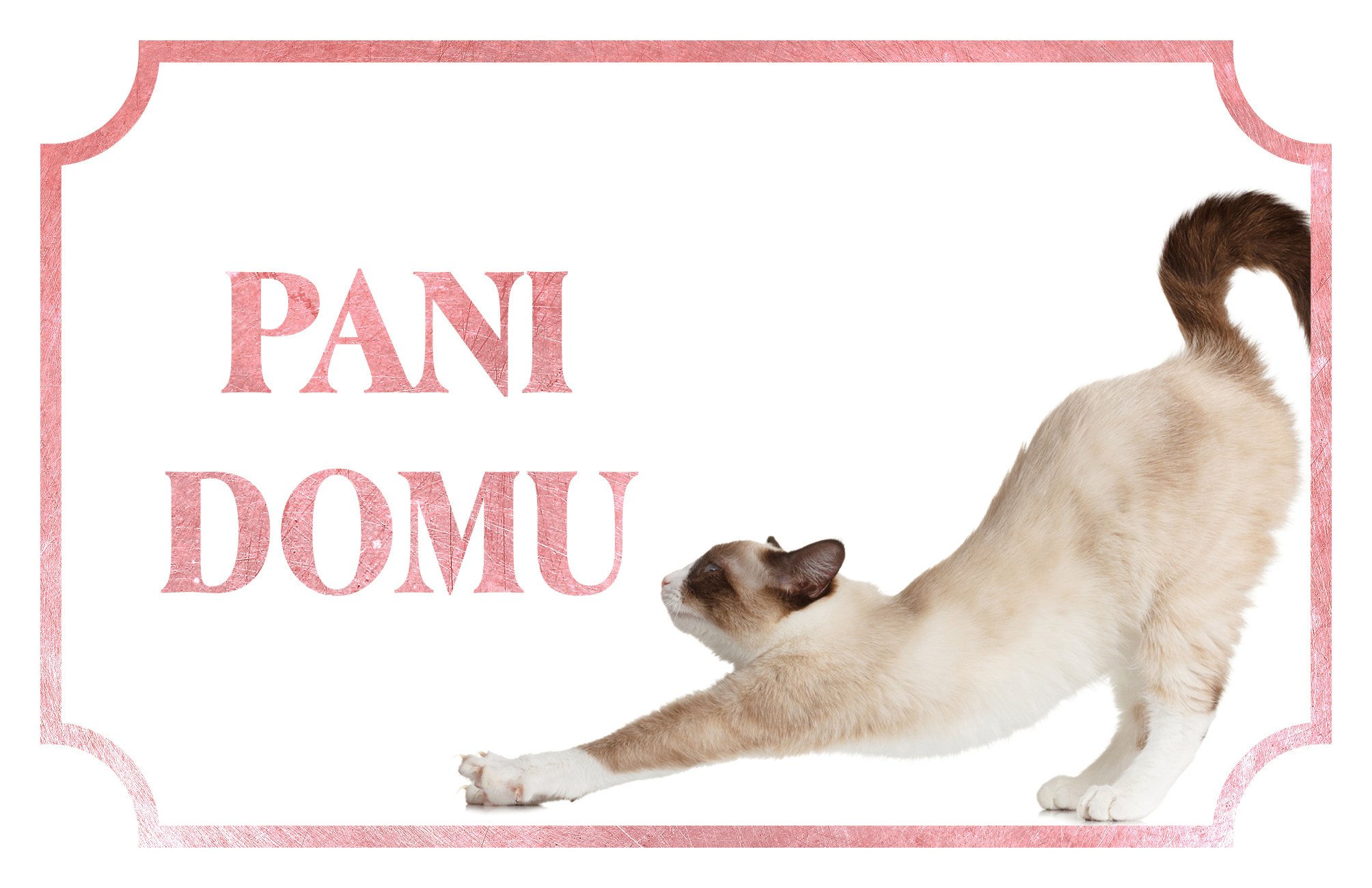 [object Object]fotka2