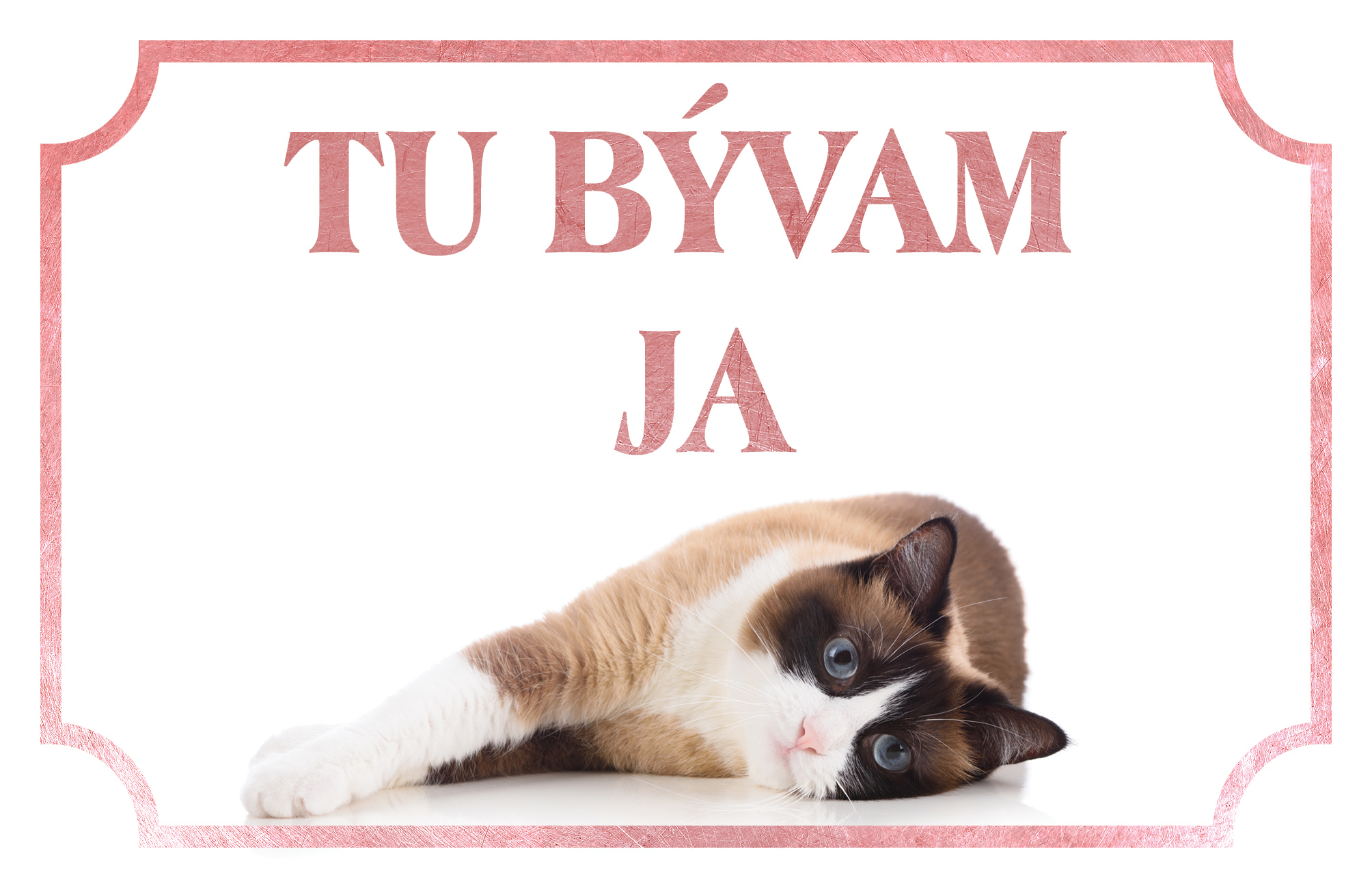 [object Object]fotka2