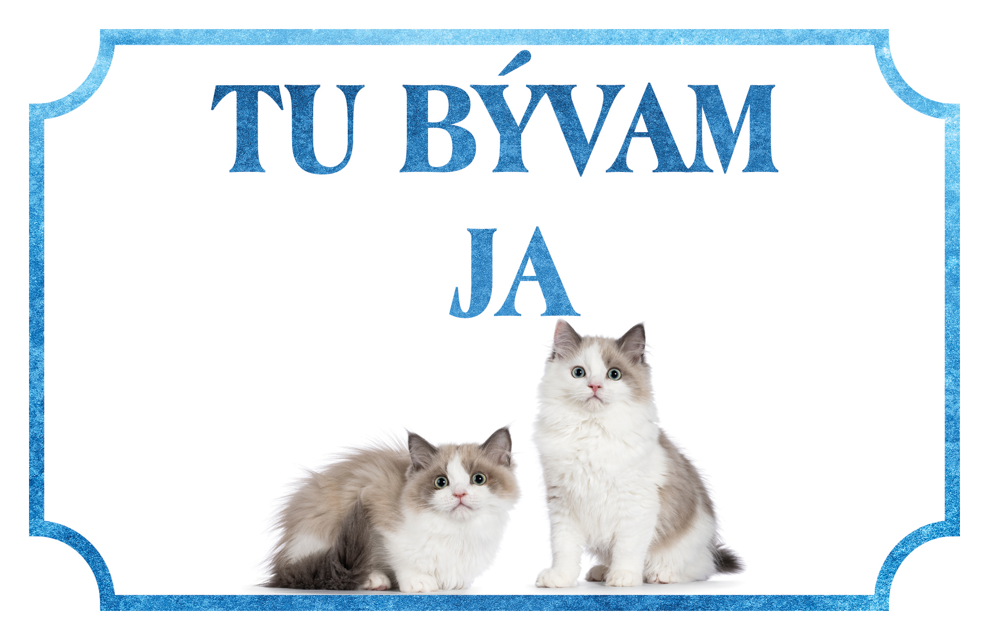 [object Object]fotka1