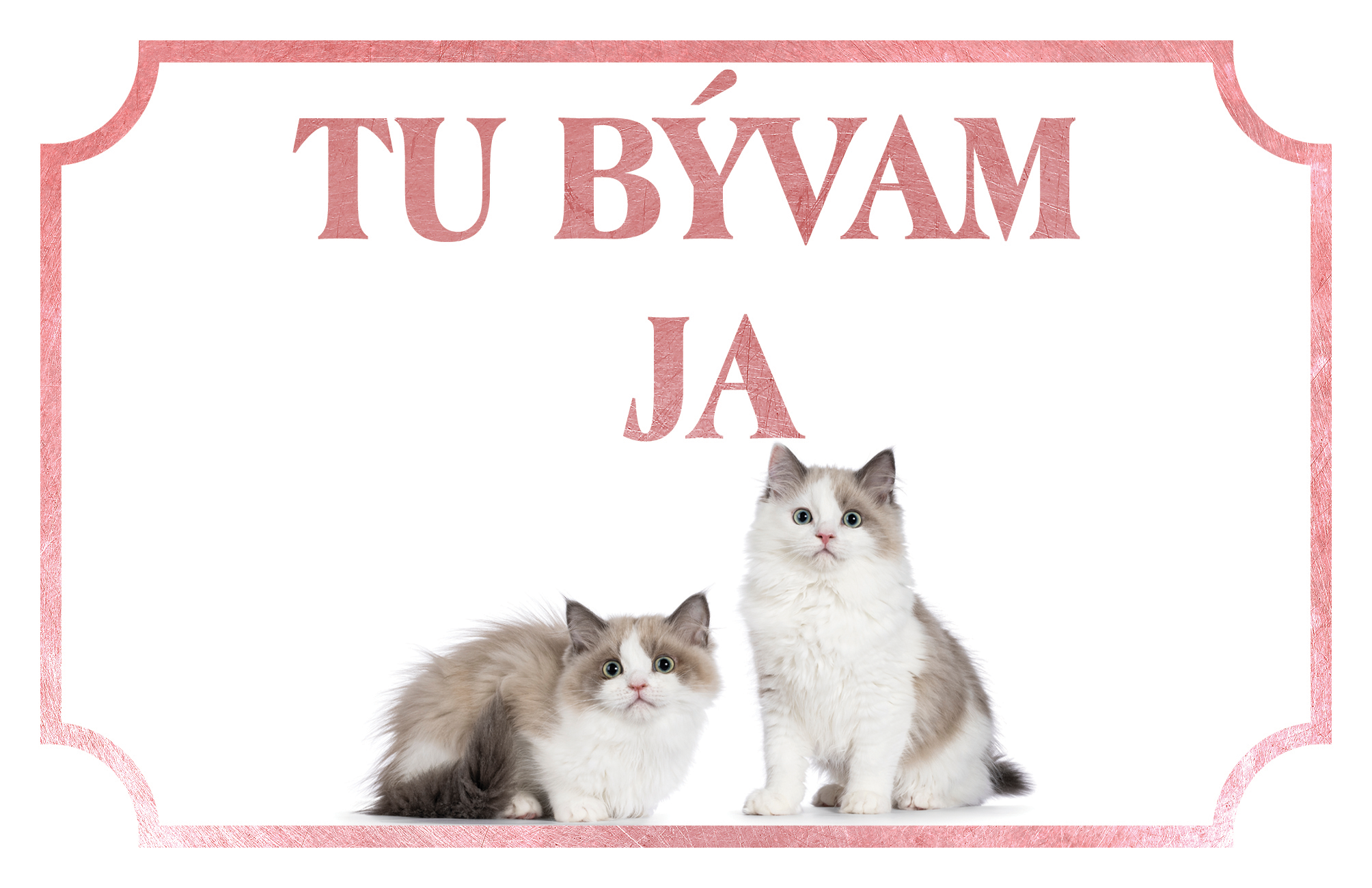 [object Object]fotka2