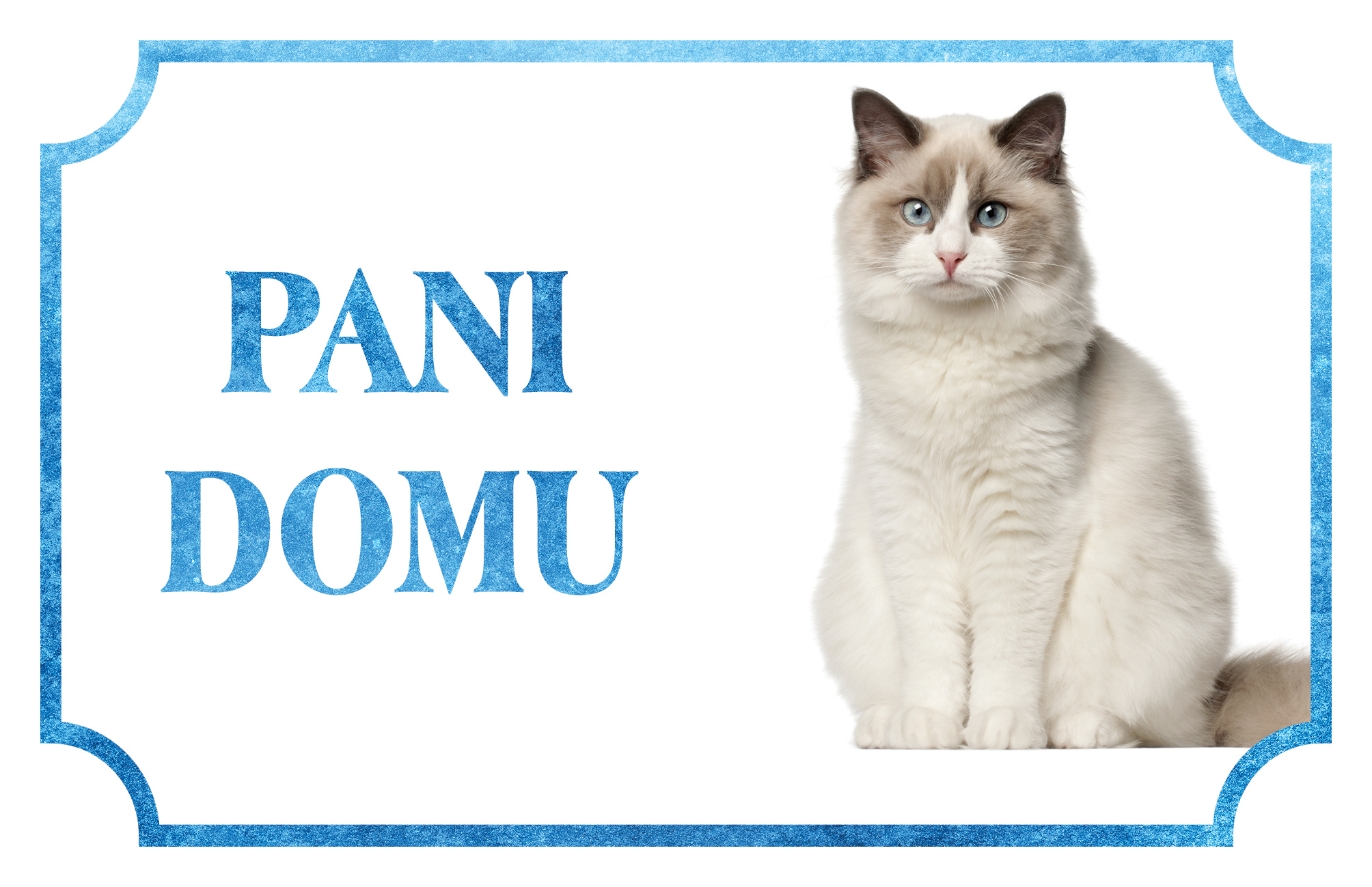 [object Object]fotka1