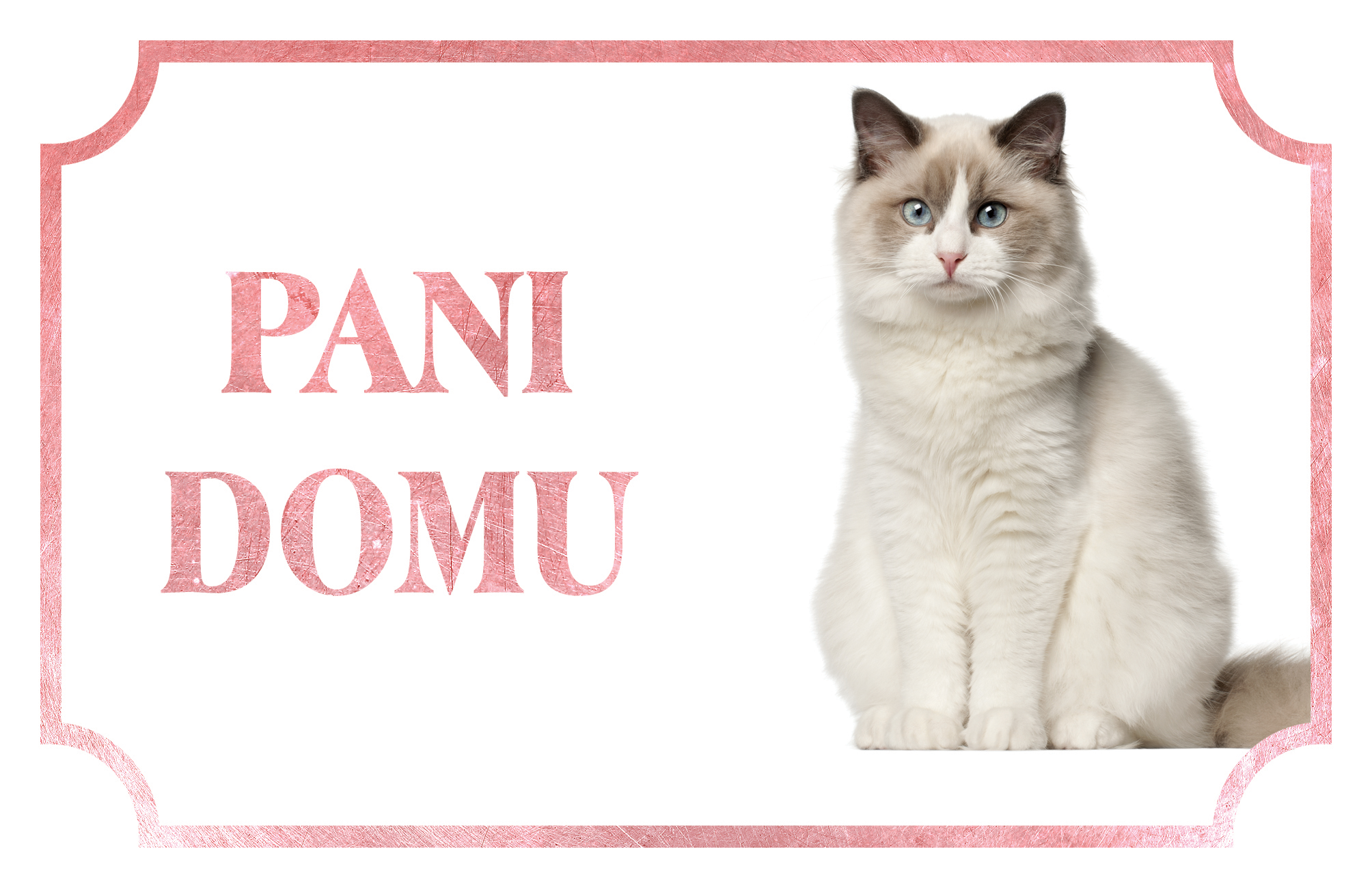 [object Object]fotka2